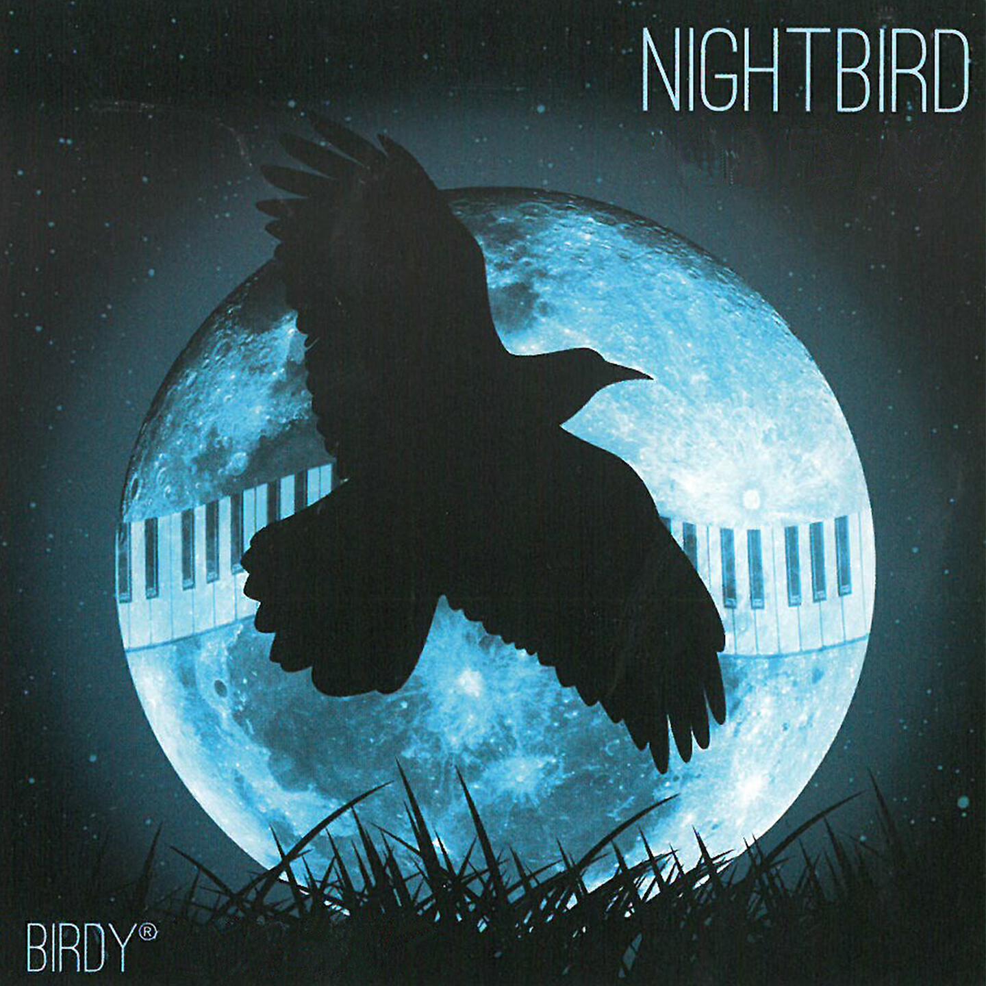 Birdy - West Stream