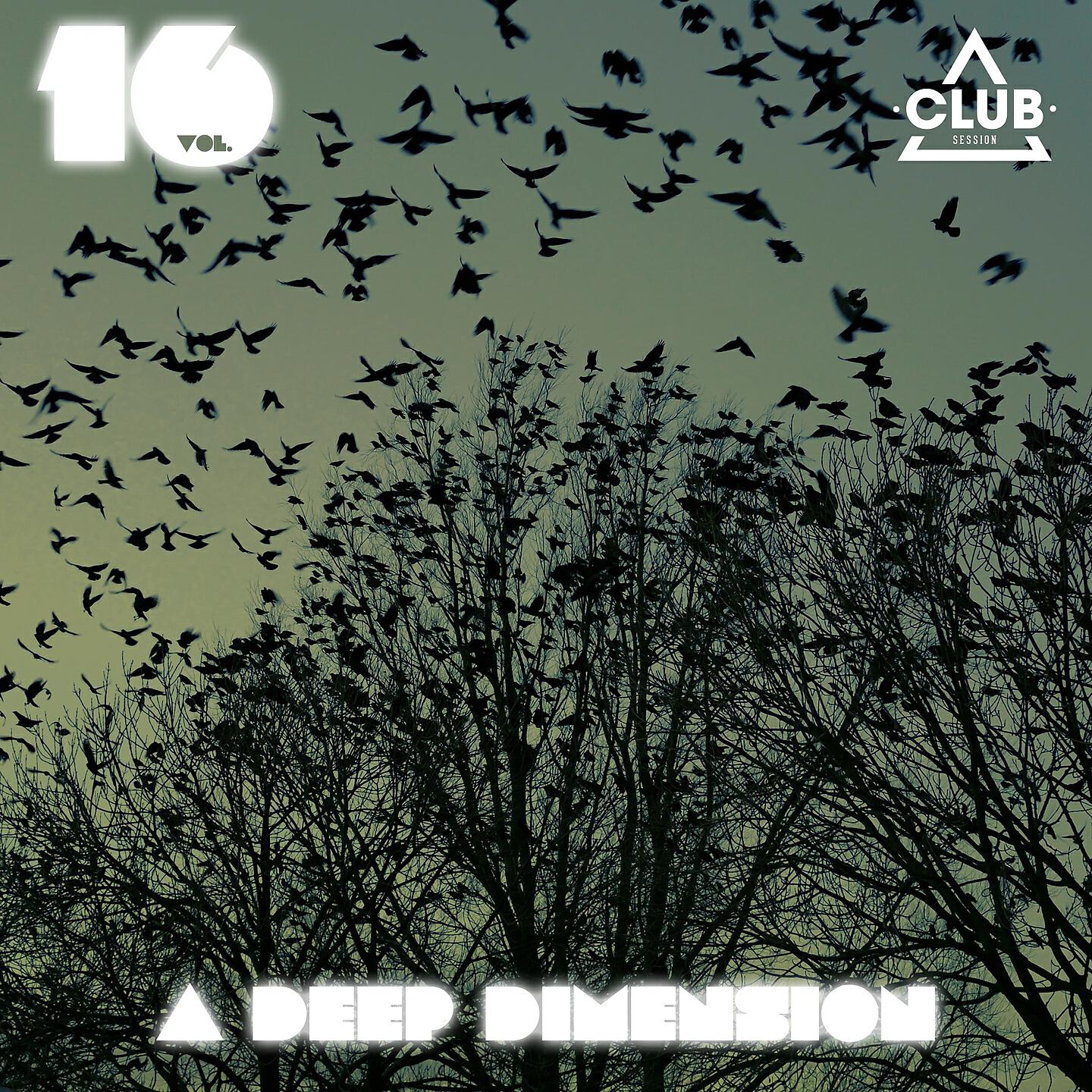 Greenfish - Pouse Harty (David Kassi Remix)