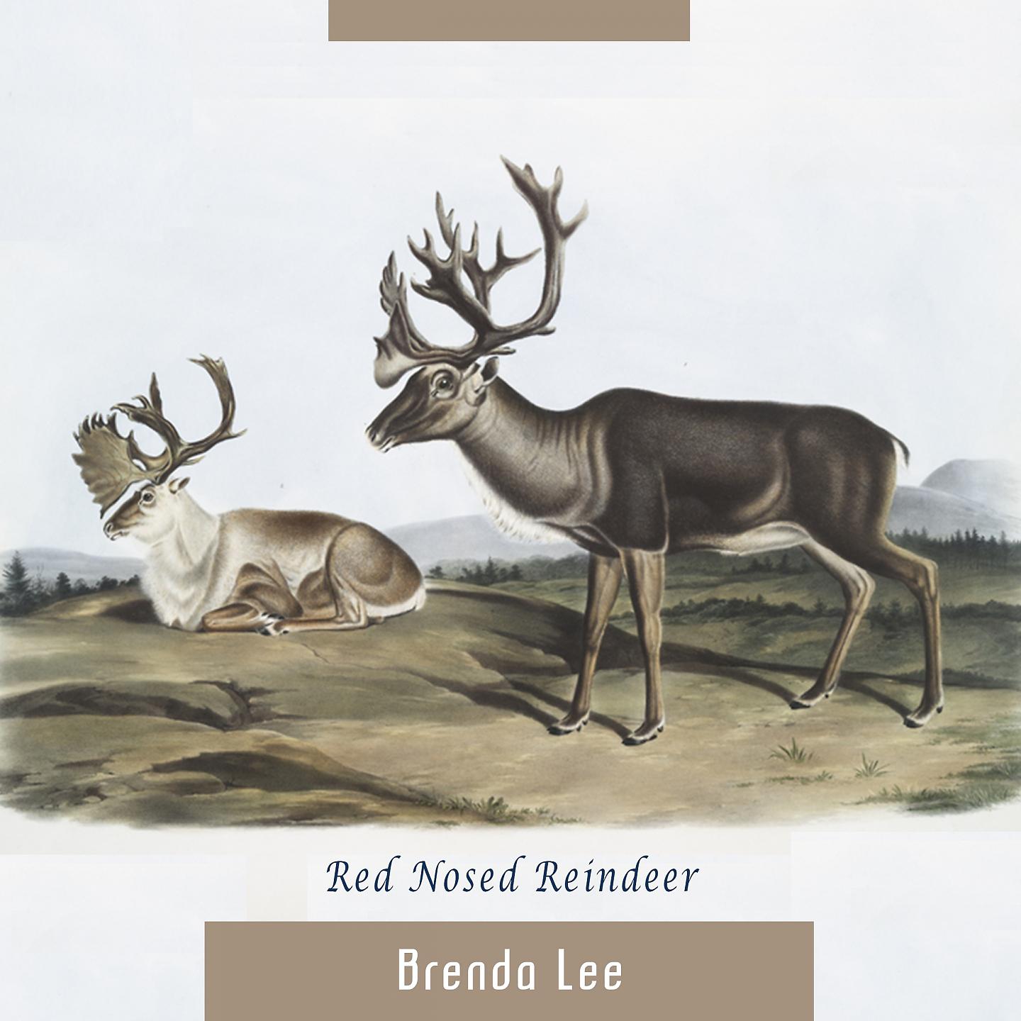 Постер альбома Red Nosed Reindeer