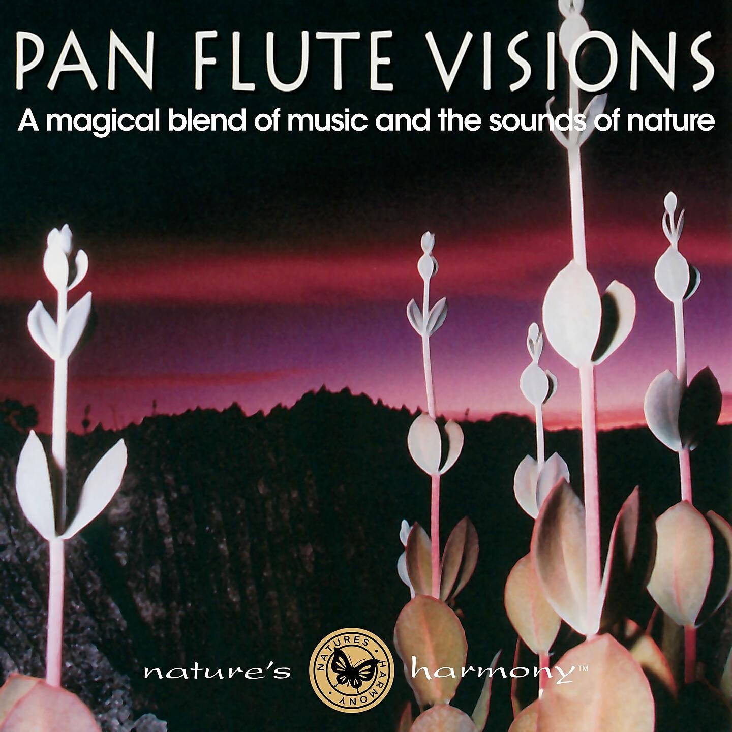 Nature's Harmony - Forest Murmurs