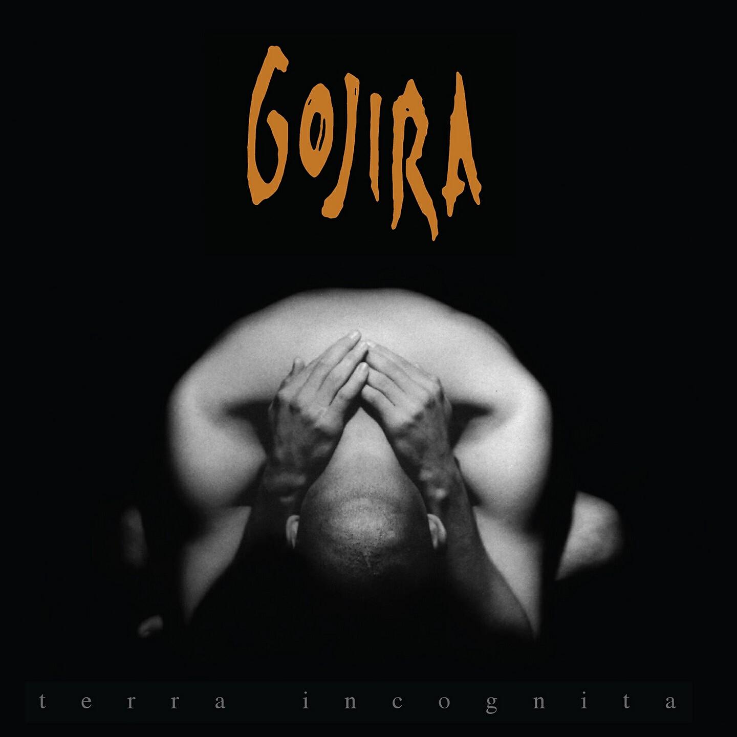 Gojira - Clone