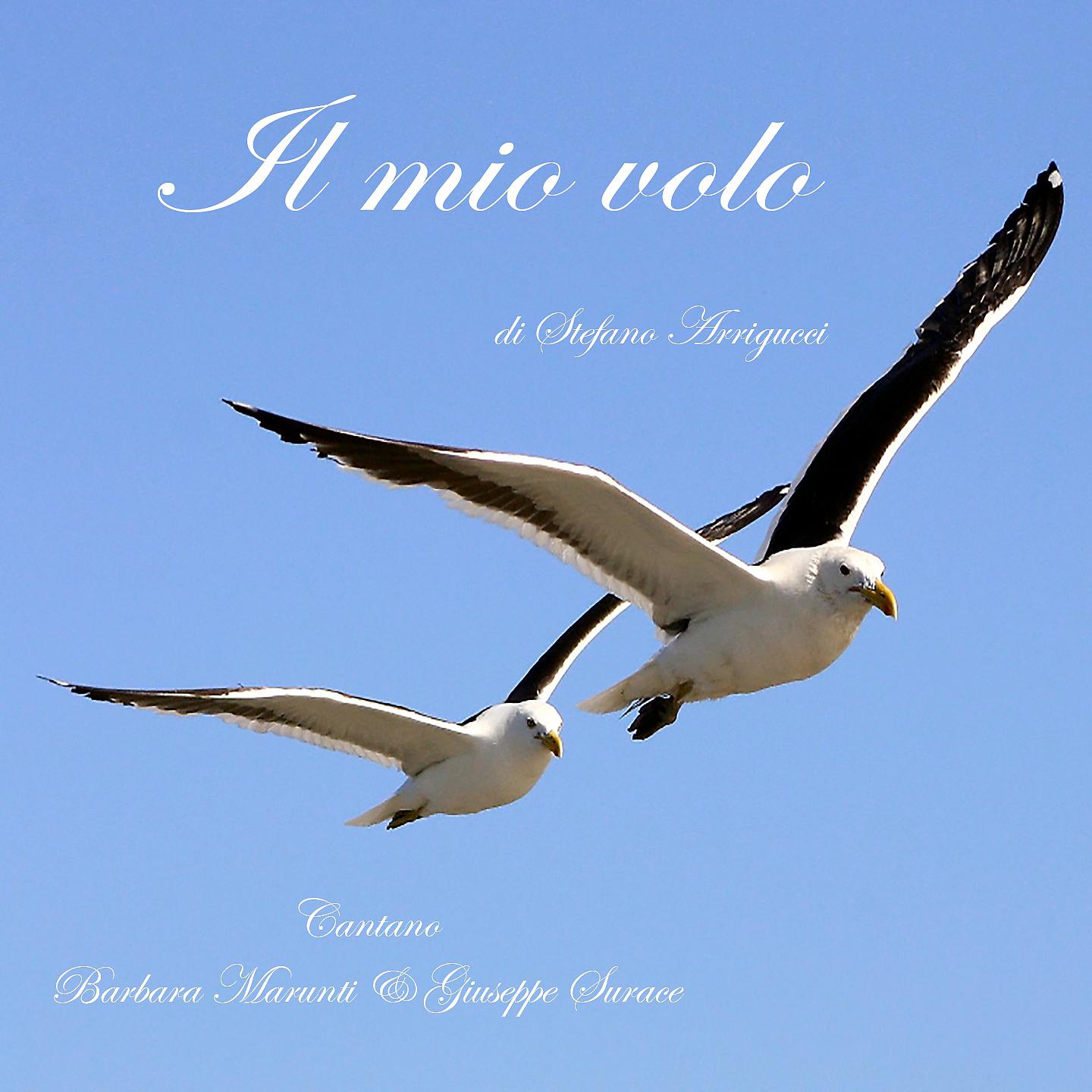 Постер альбома Il mio volo