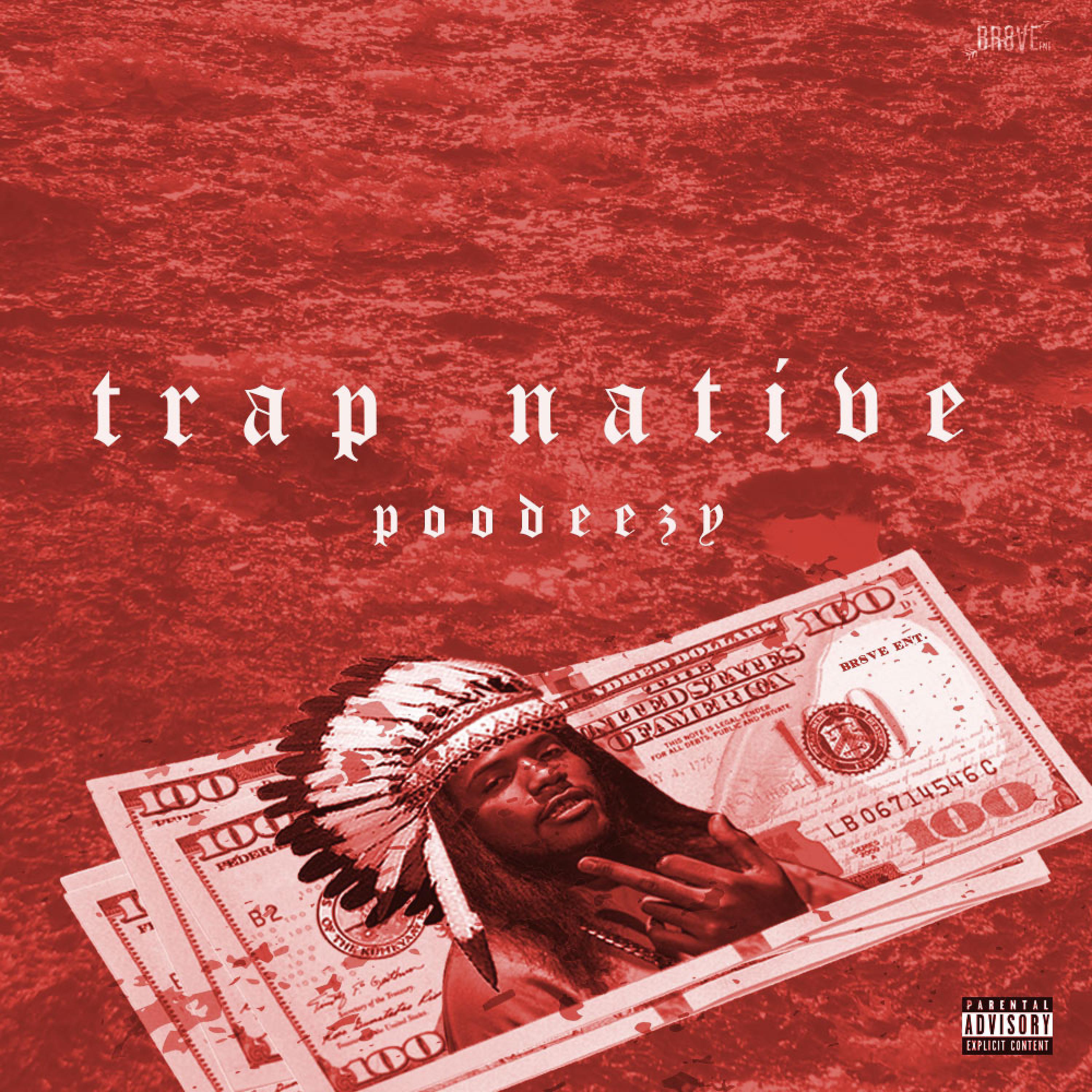 Постер альбома Trap Native