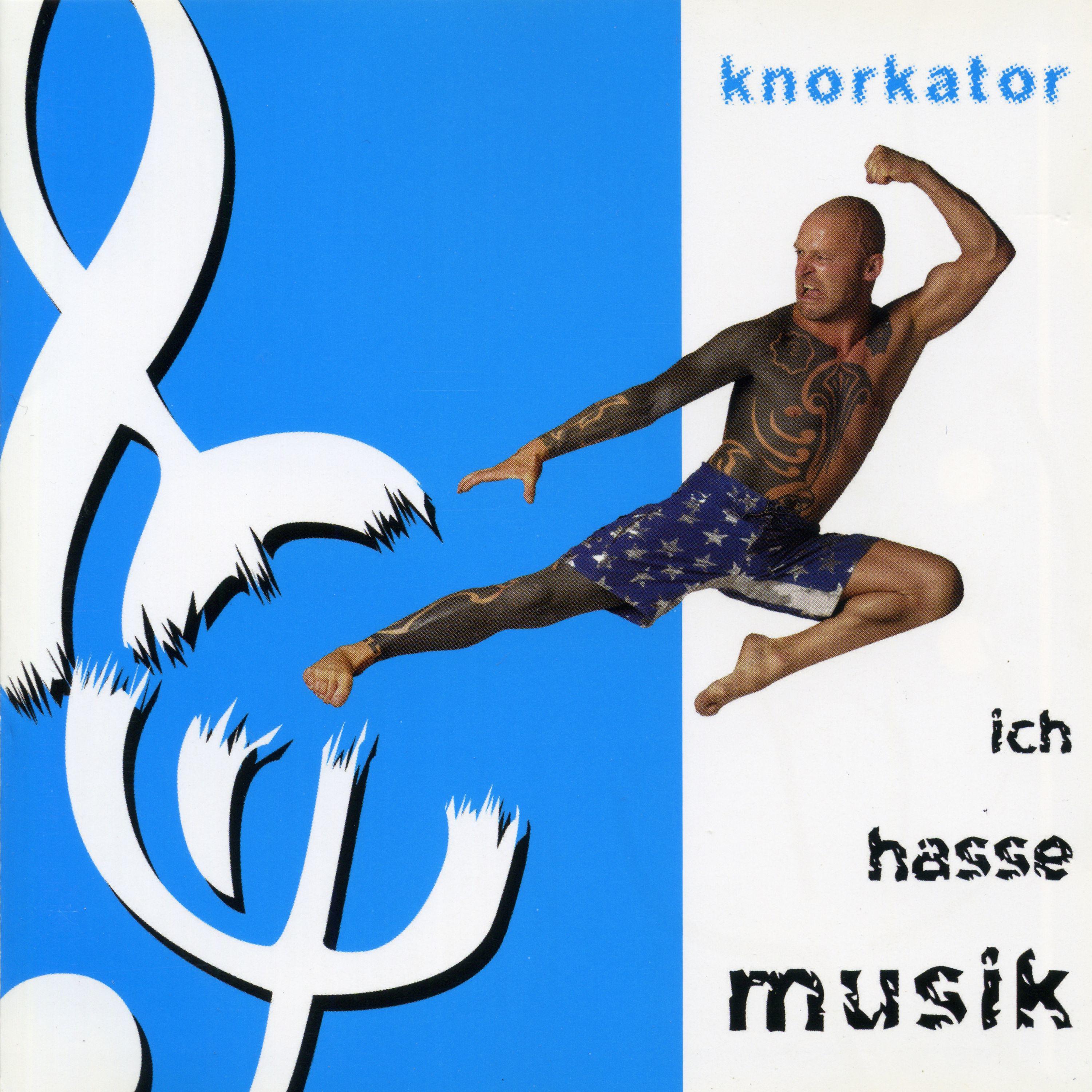 Постер альбома Ich Hasse Musik