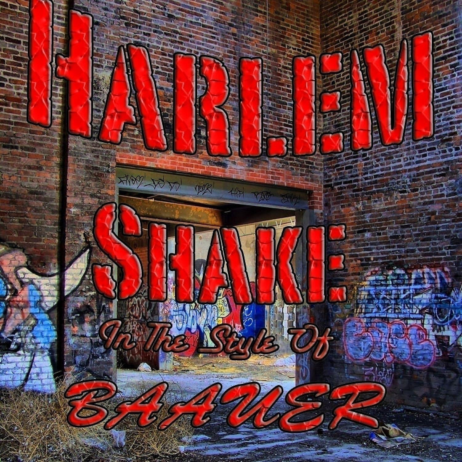 Постер альбома Harlem Shake (In The Style Of BAAUER) - Single
