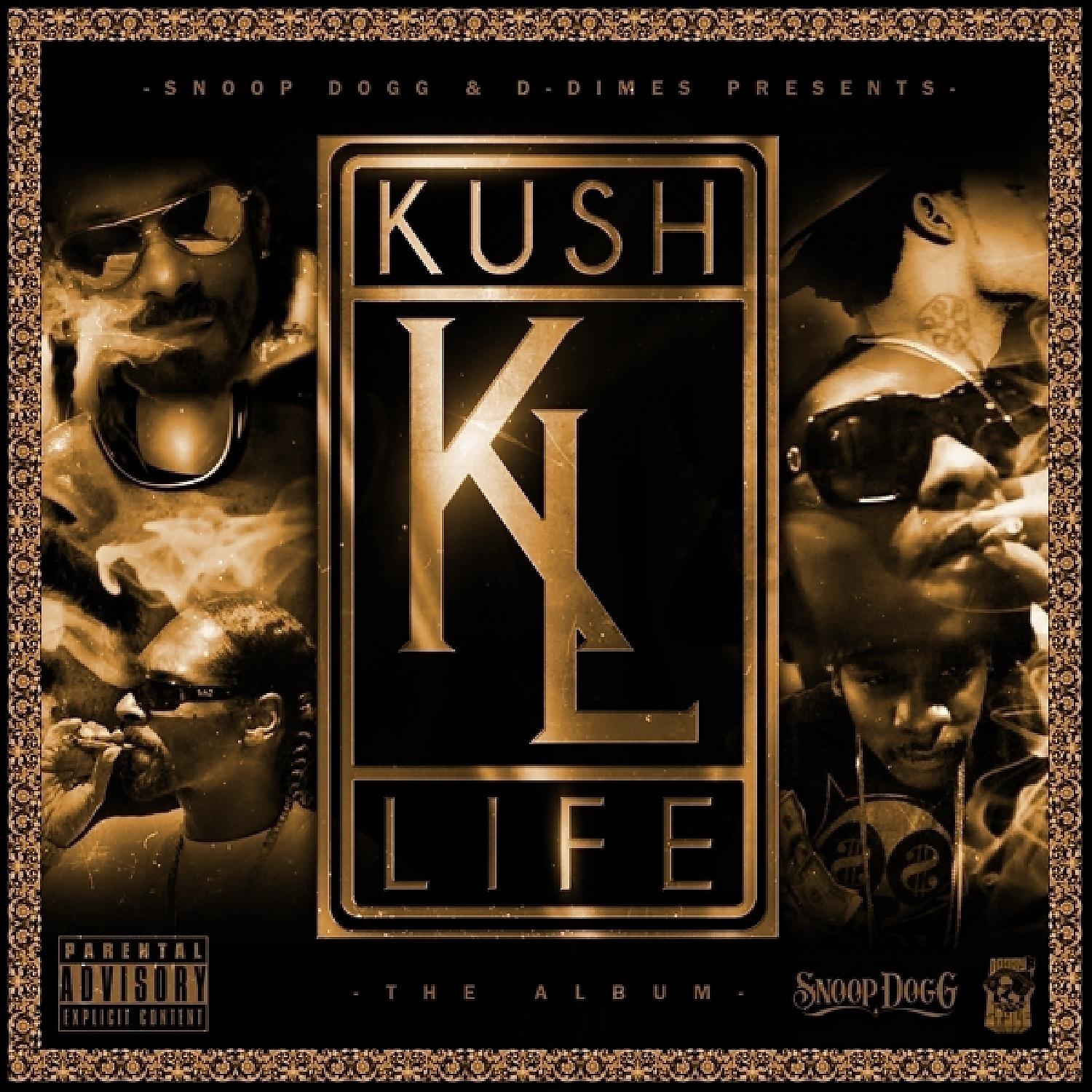 Постер альбома Kush Life