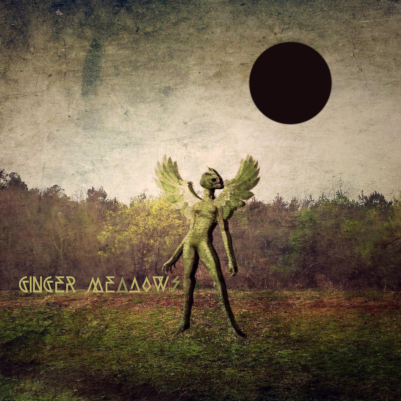 Ginger Meadows - Project Moonstone