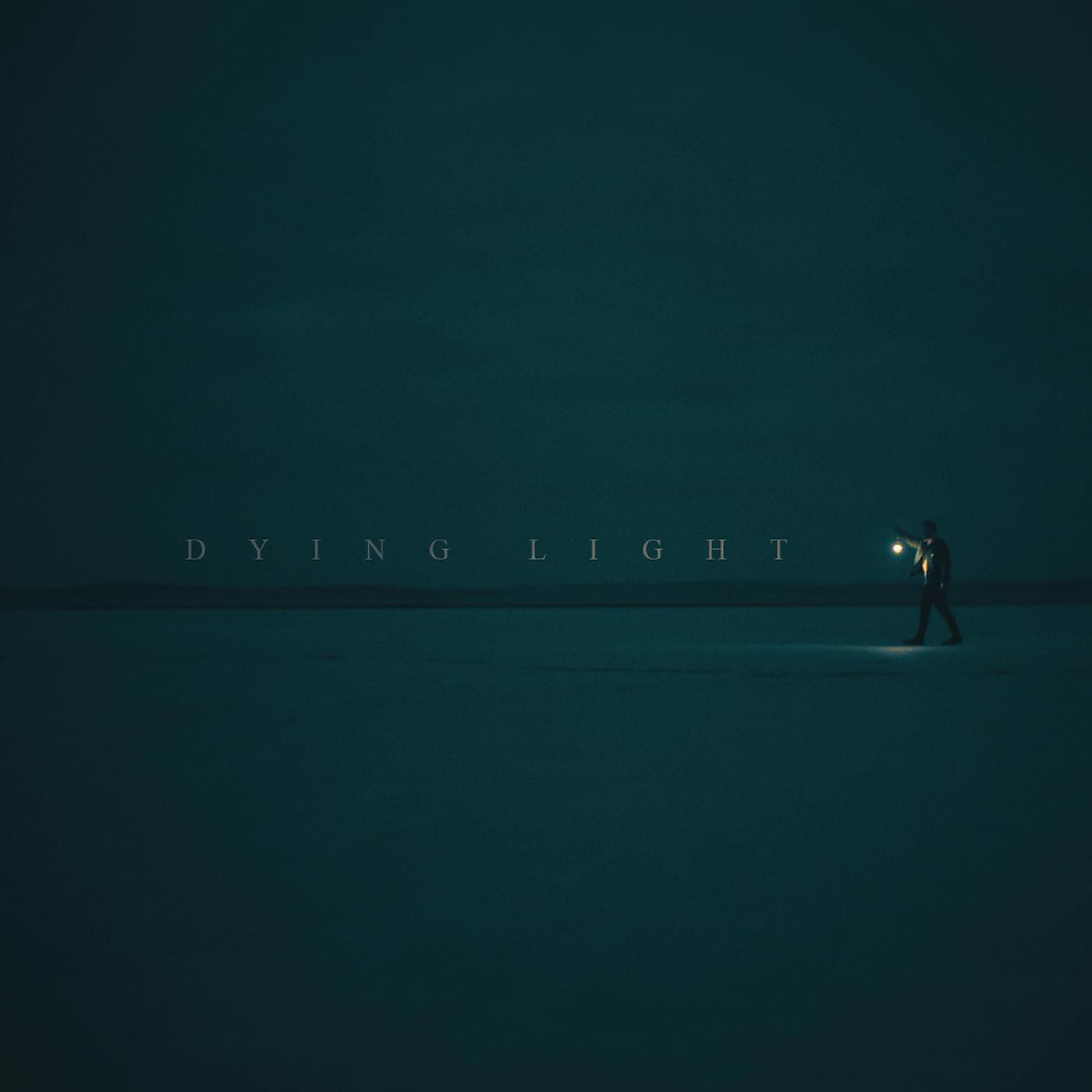 Постер альбома Dying Light