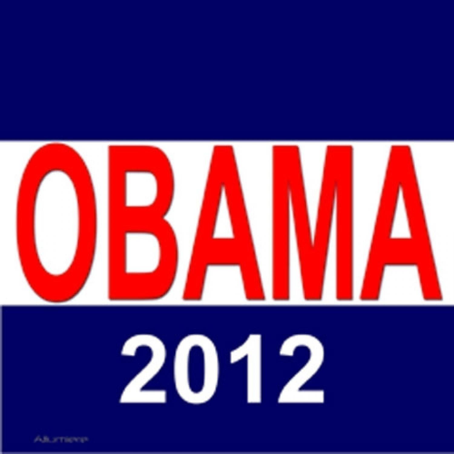 Постер альбома Obama 2012