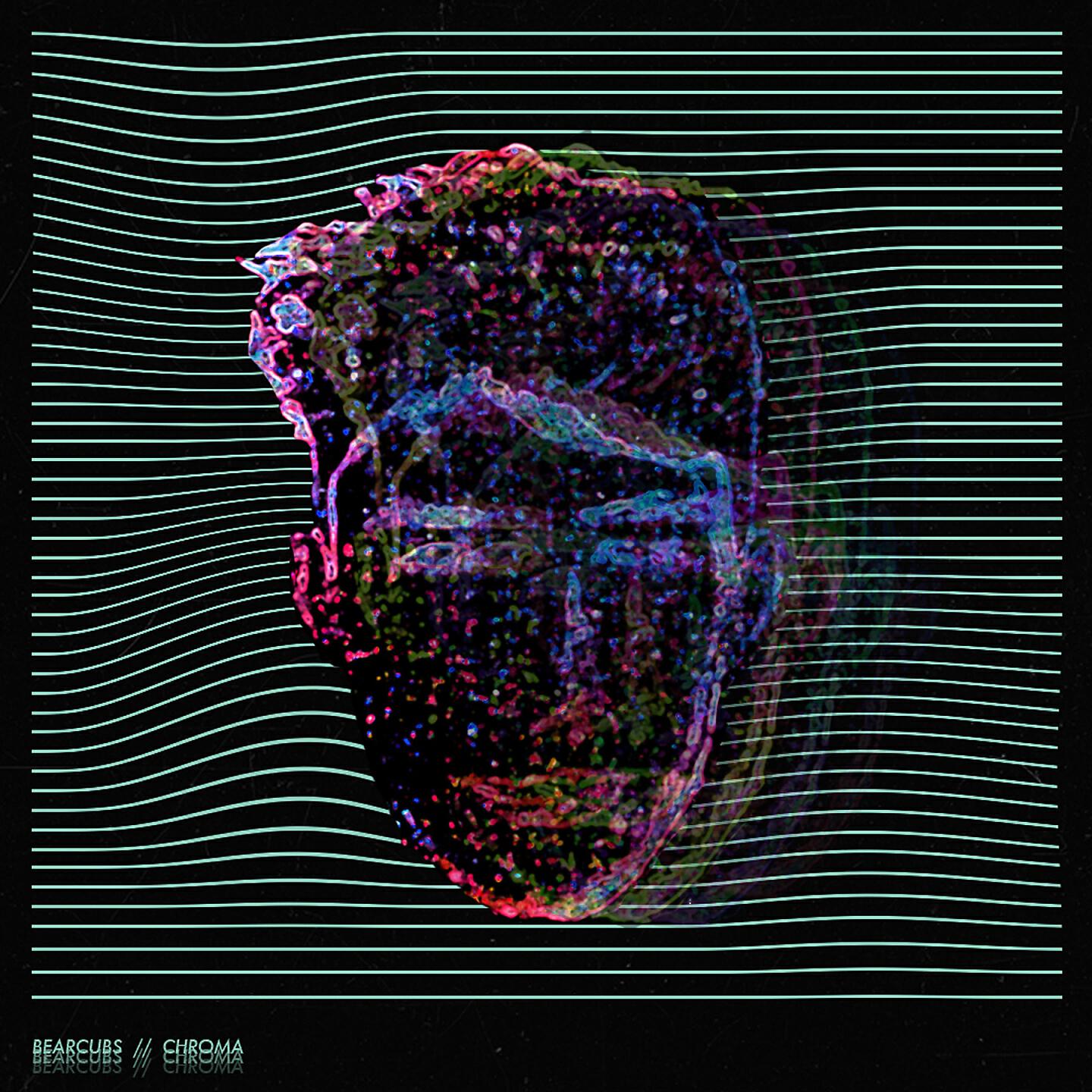 Bearcubs - Chroma
