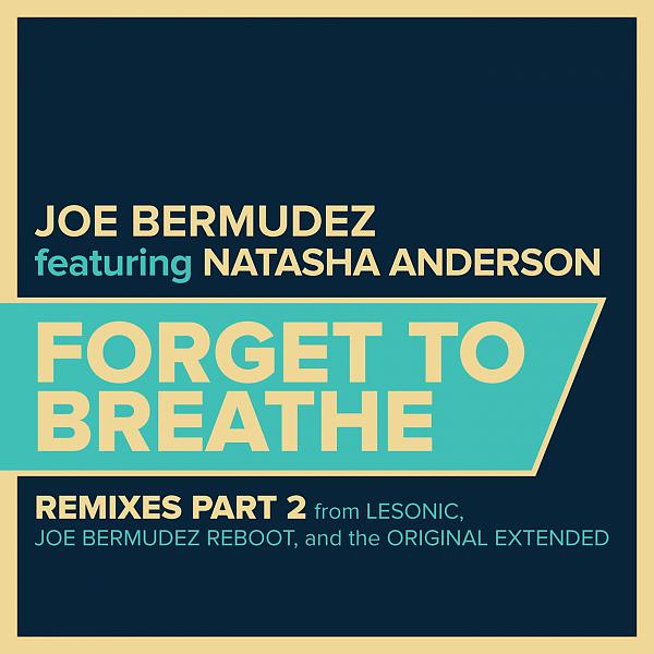 Постер альбома Forget To Breathe: Remixes, Pt. 2 (feat. Natasha Anderson)