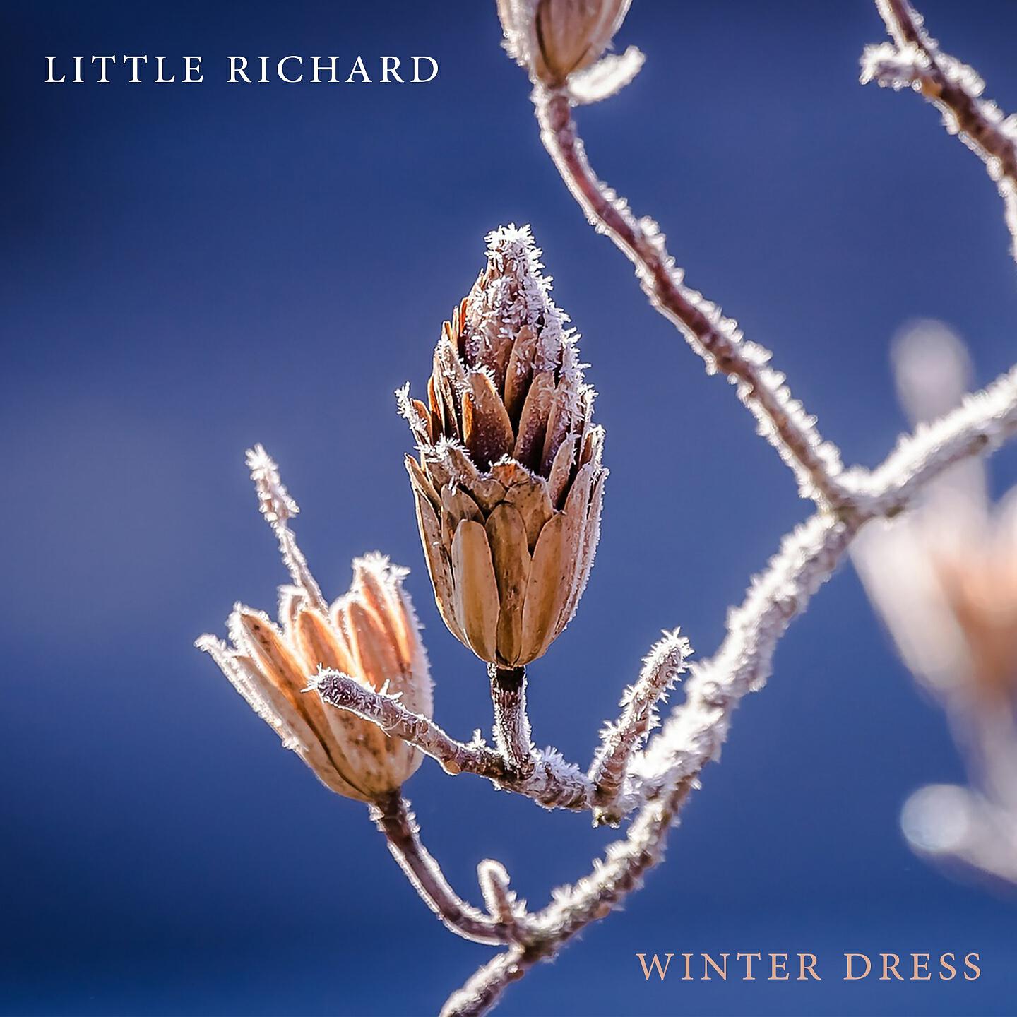 Little Richard - By The Light Of The Silvery Moon