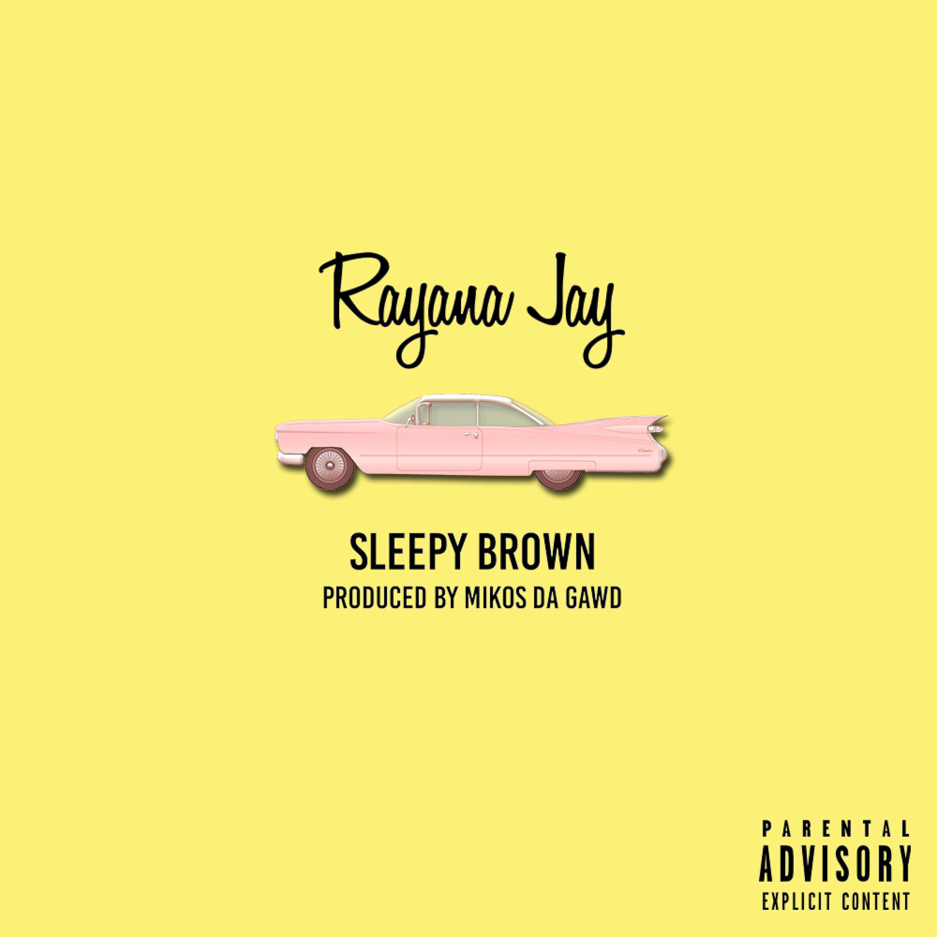 Постер альбома Sleepy Brown