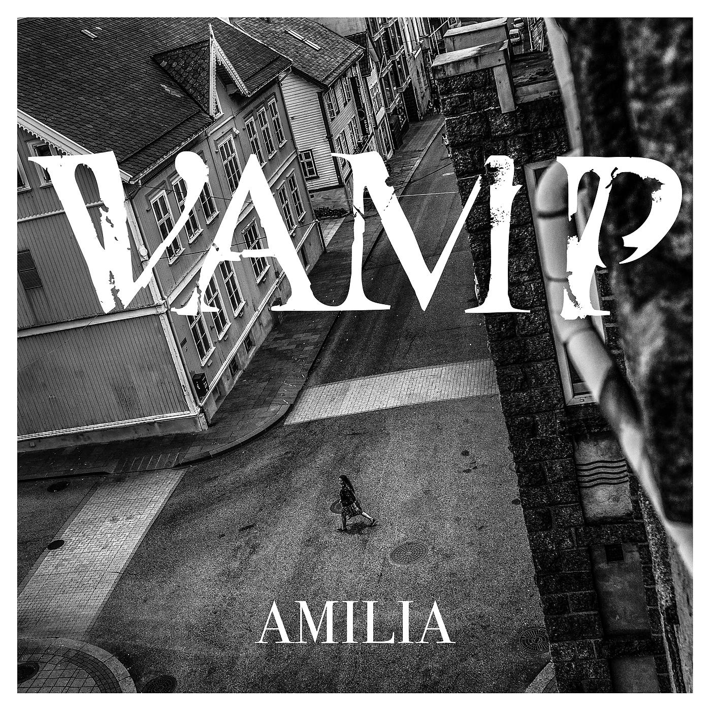 Постер альбома Amilia