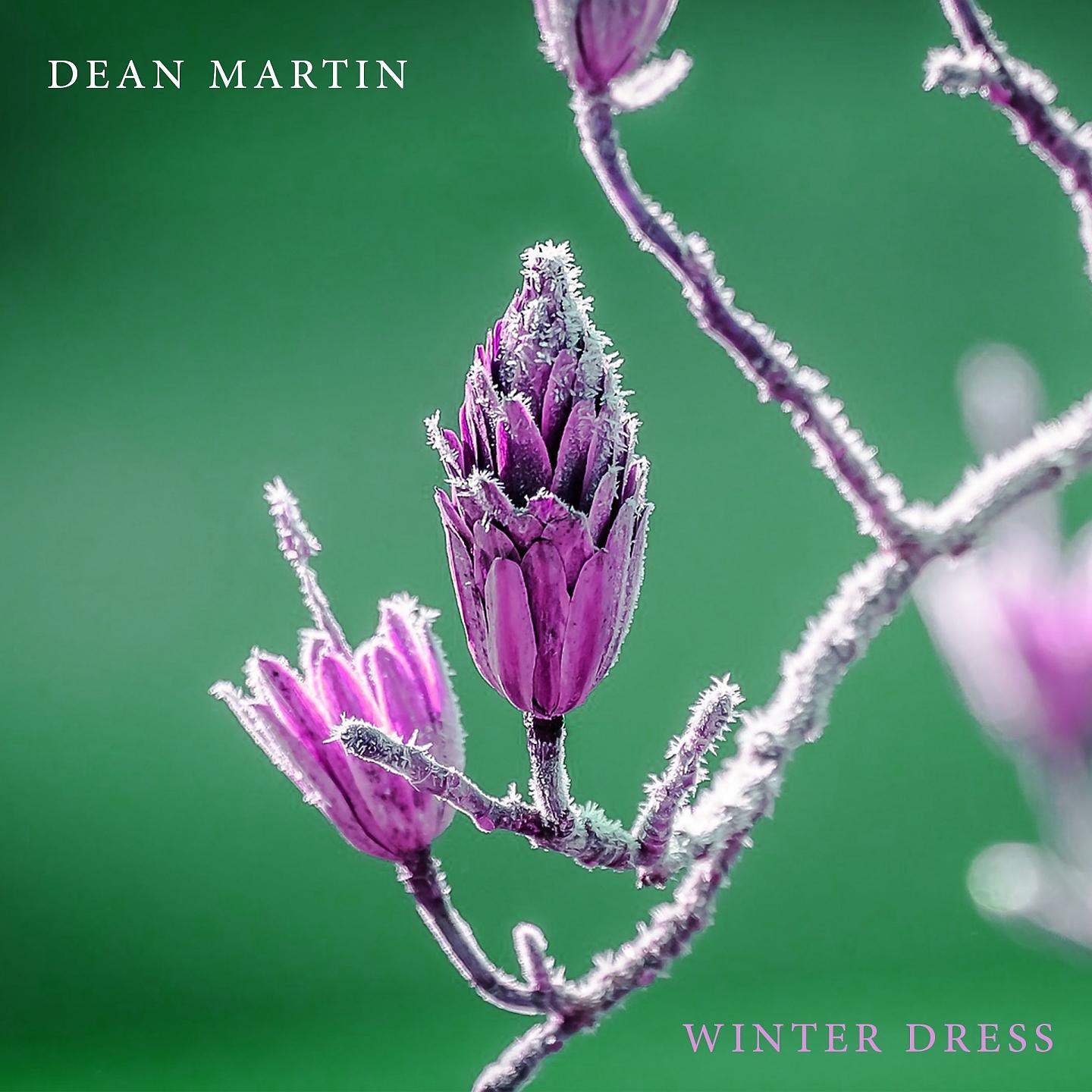 Постер альбома Winter Dress
