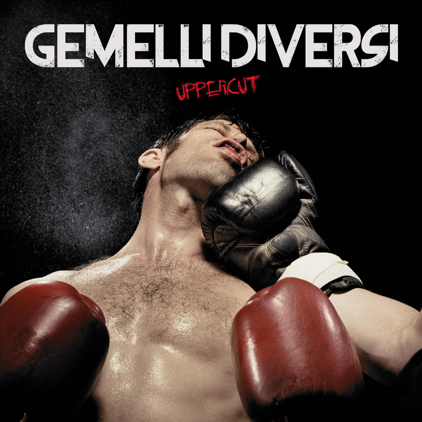 Gemelli Diversi - Bianconero