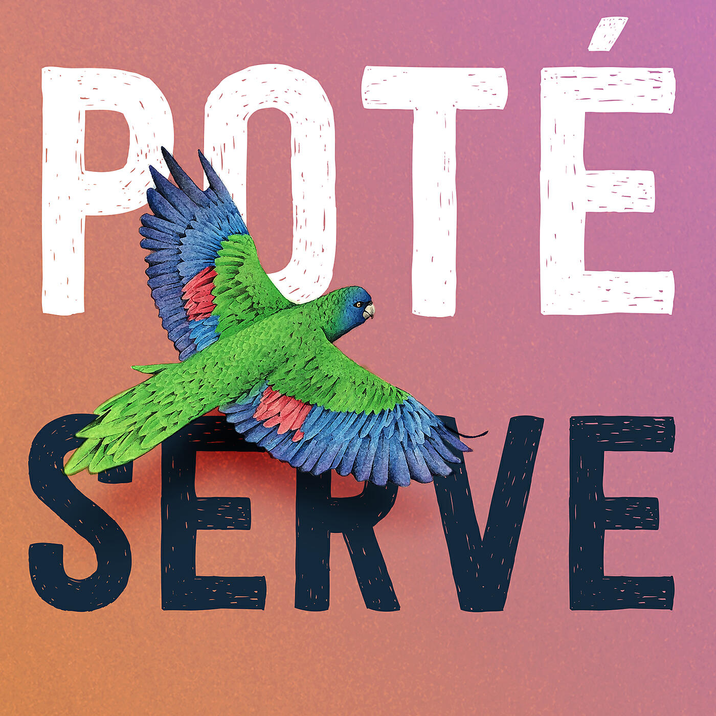 Pote - Serve