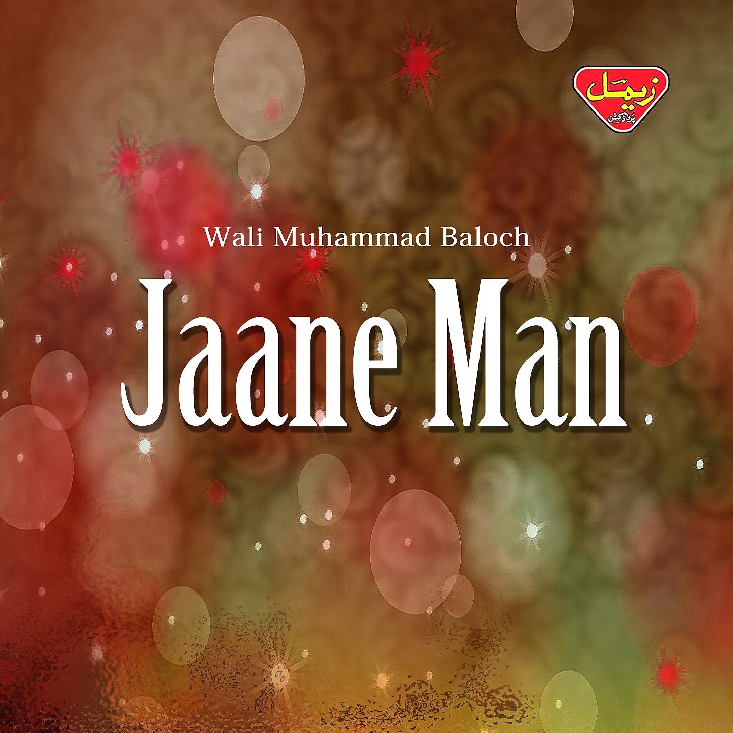 Постер альбома Jaane Man