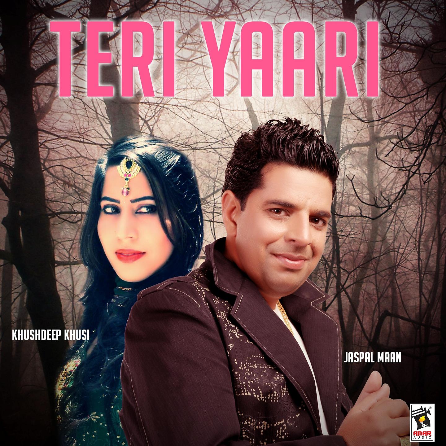 Постер альбома Teri Yaari