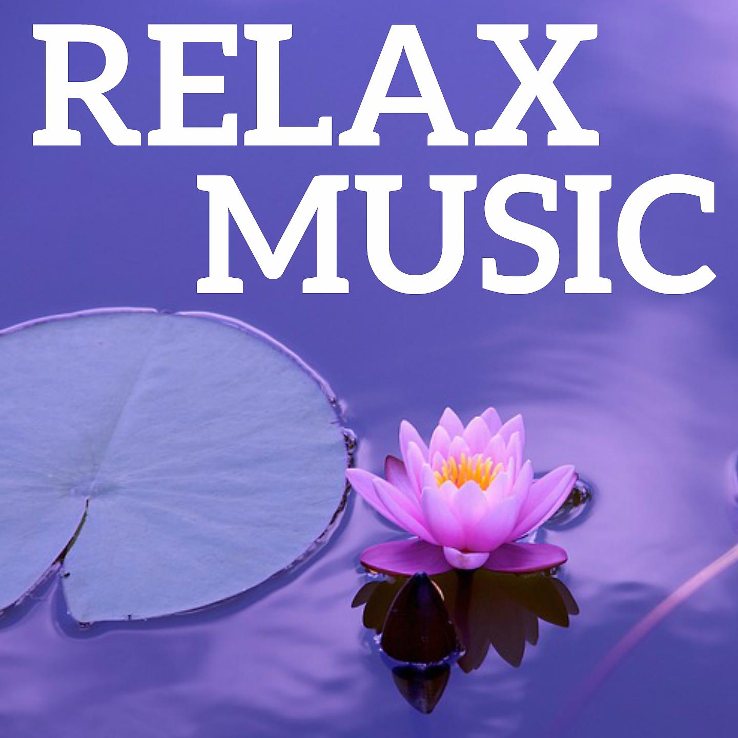 Постер альбома Relax Music