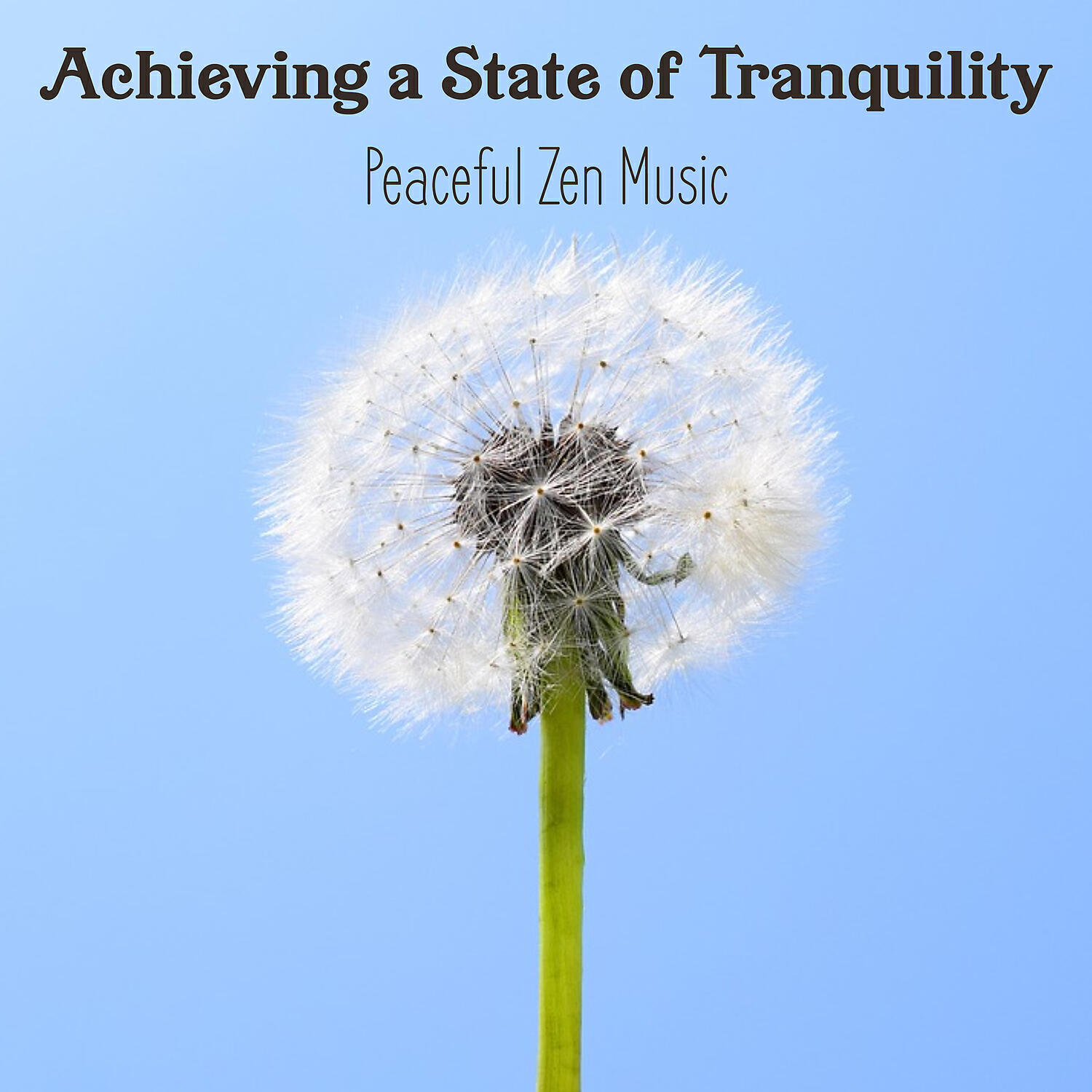 Serenity Nature Sounds Academy - Calming Music for Prenatal Yoga