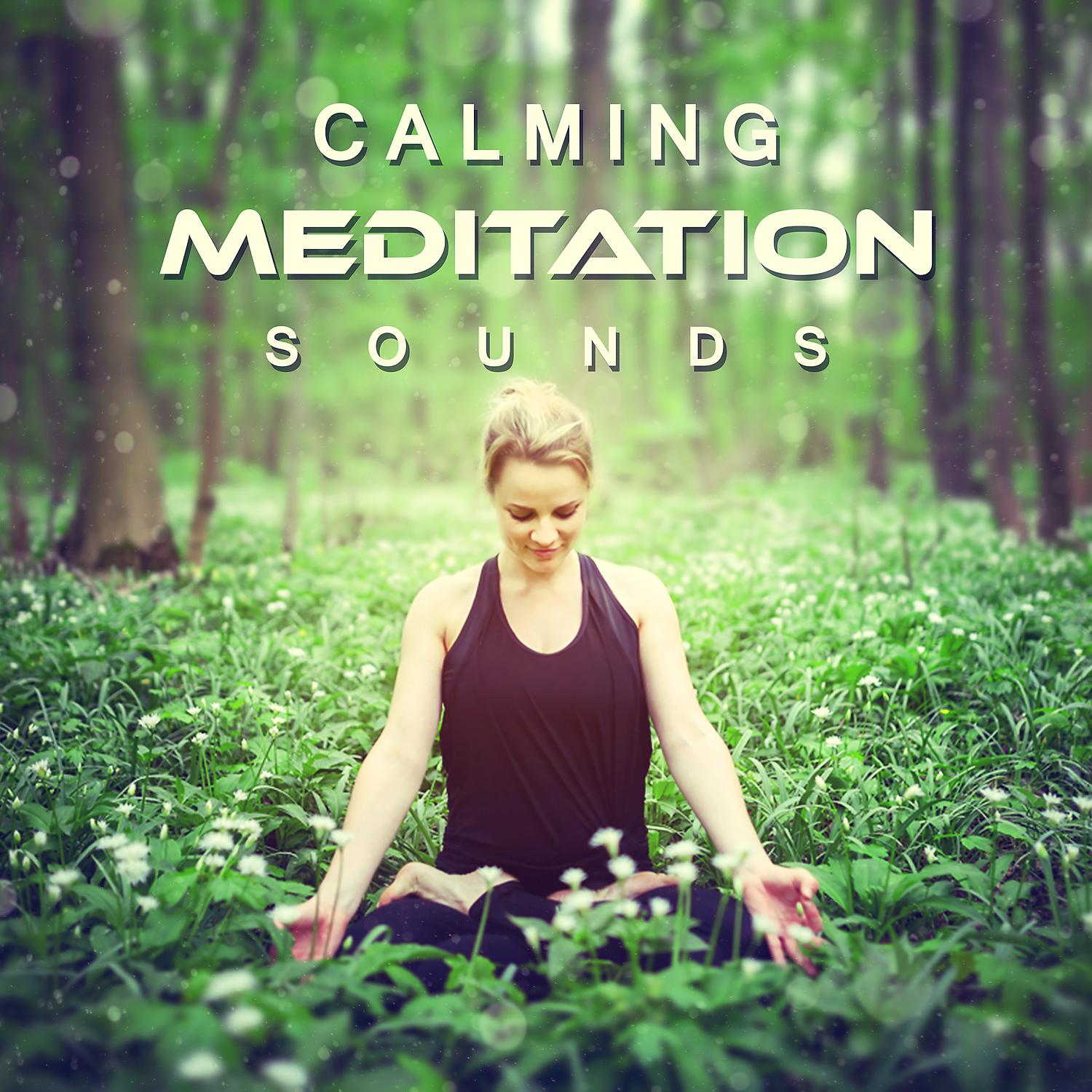 Постер альбома Calming Meditation Sounds: Relax, Zen Garden, New Age, Relaxing Music, Welness Soundtrack, Natural Remedy, Sleep Well