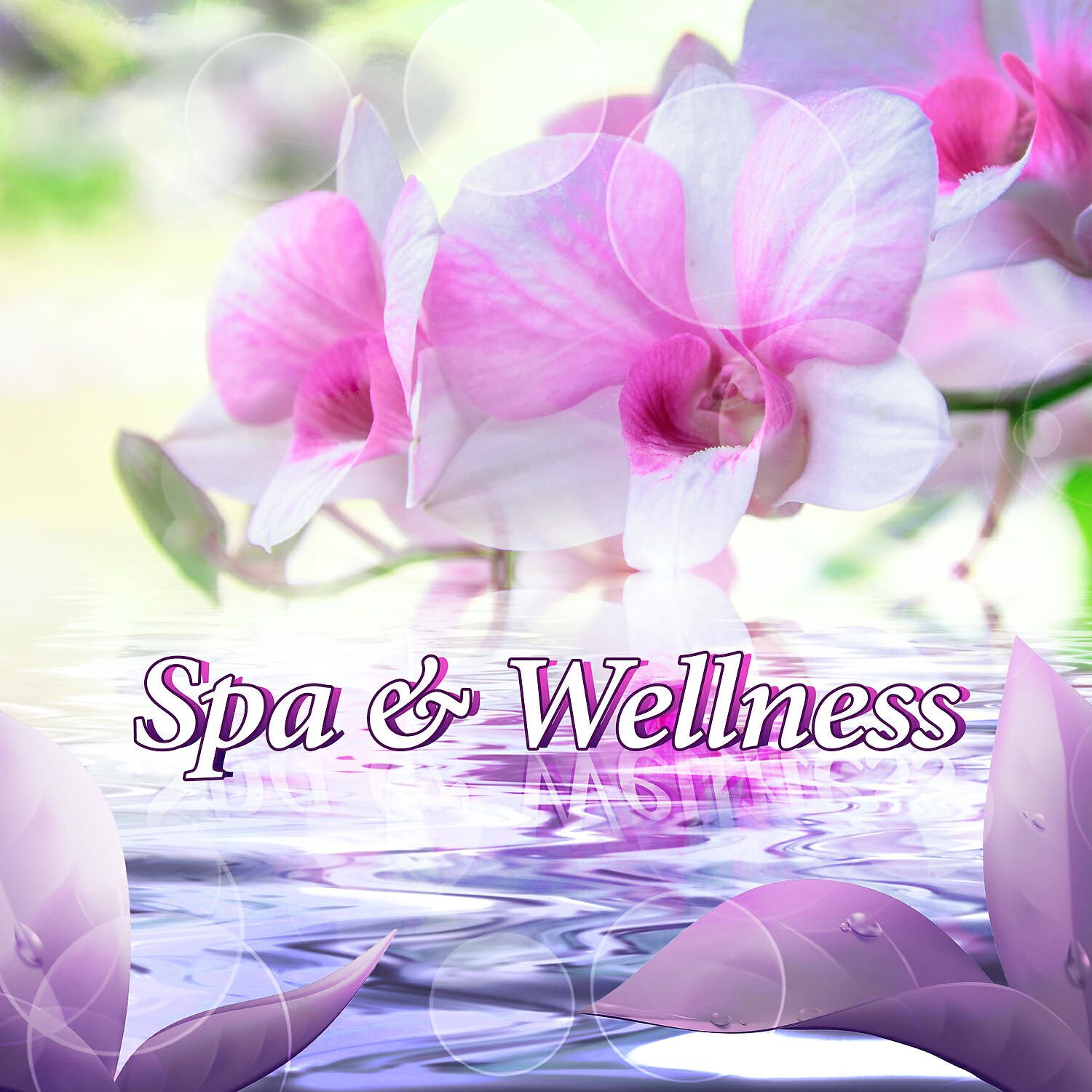 Beautiful Spa Collection - Easy Listening Water Music