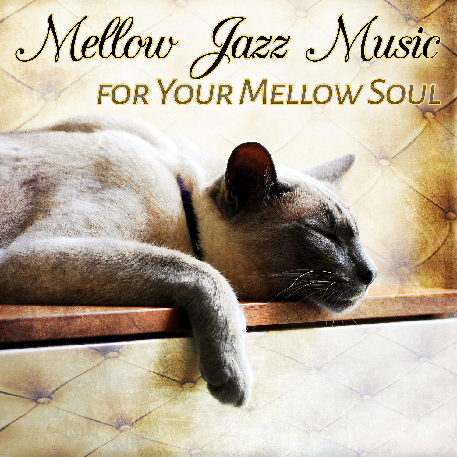 Amazing Chill Out Jazz Paradise - Chill on the Sofa