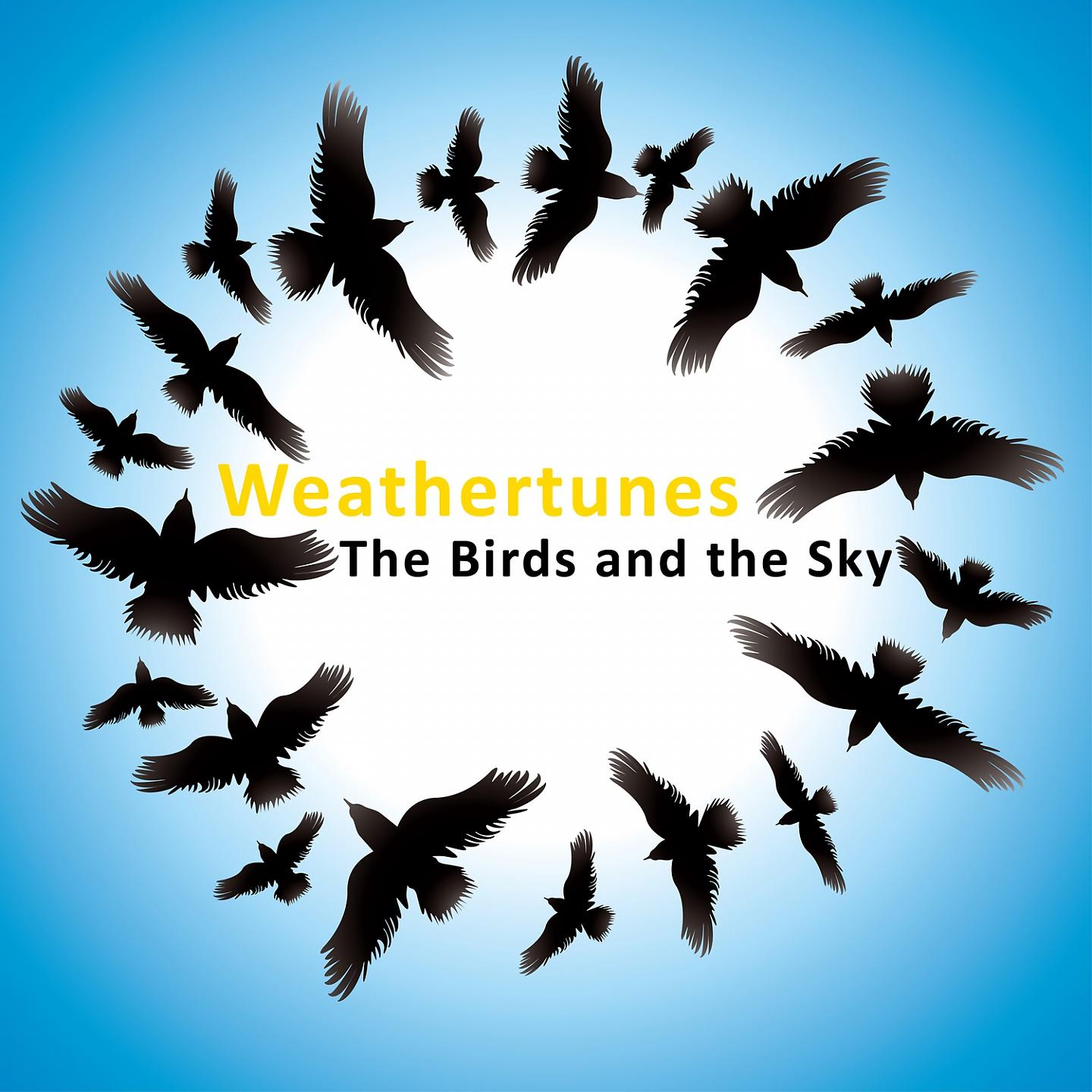 Постер альбома The Birds And The Sky