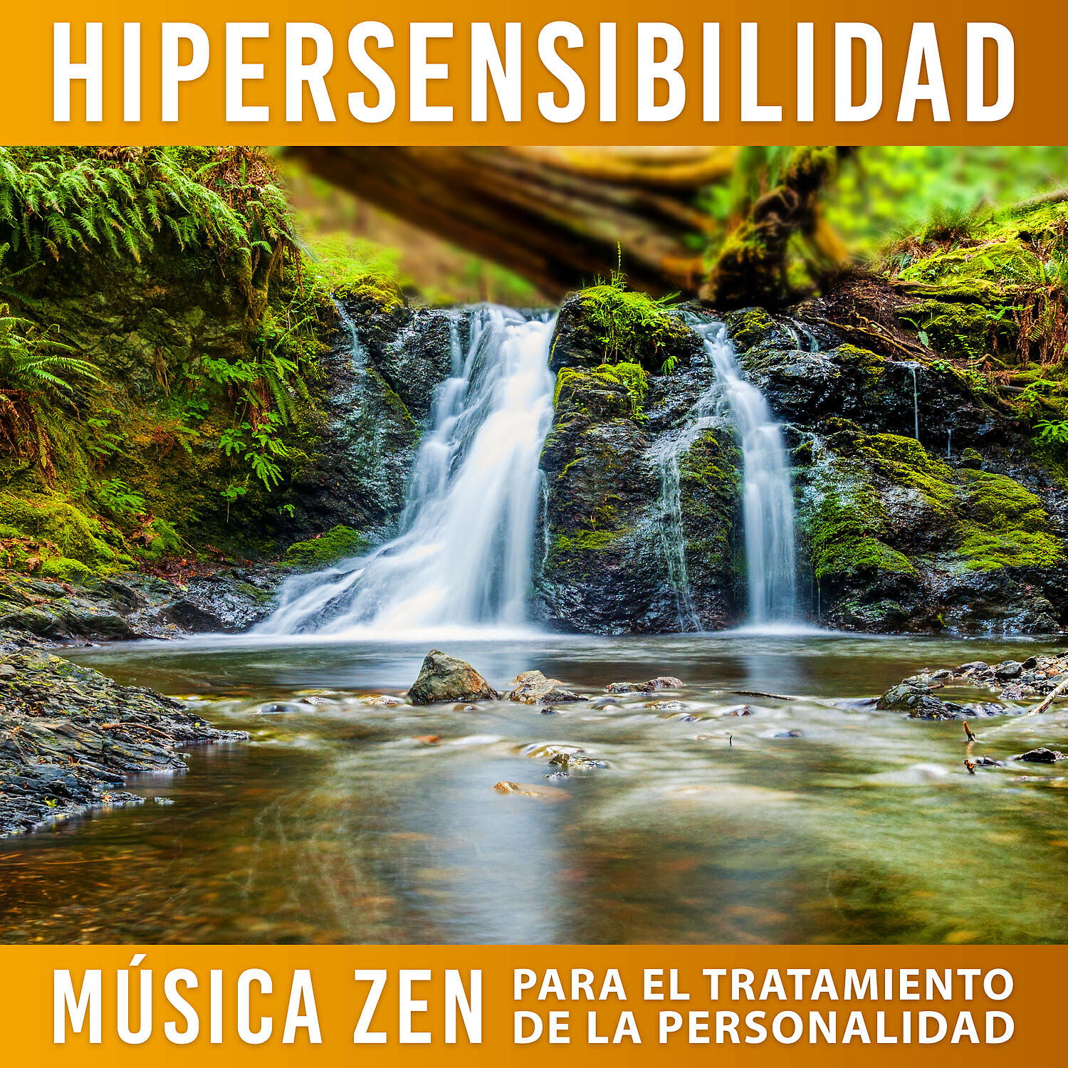 Relajante Academia de Música Zen - La Meditacion Guiada de Música