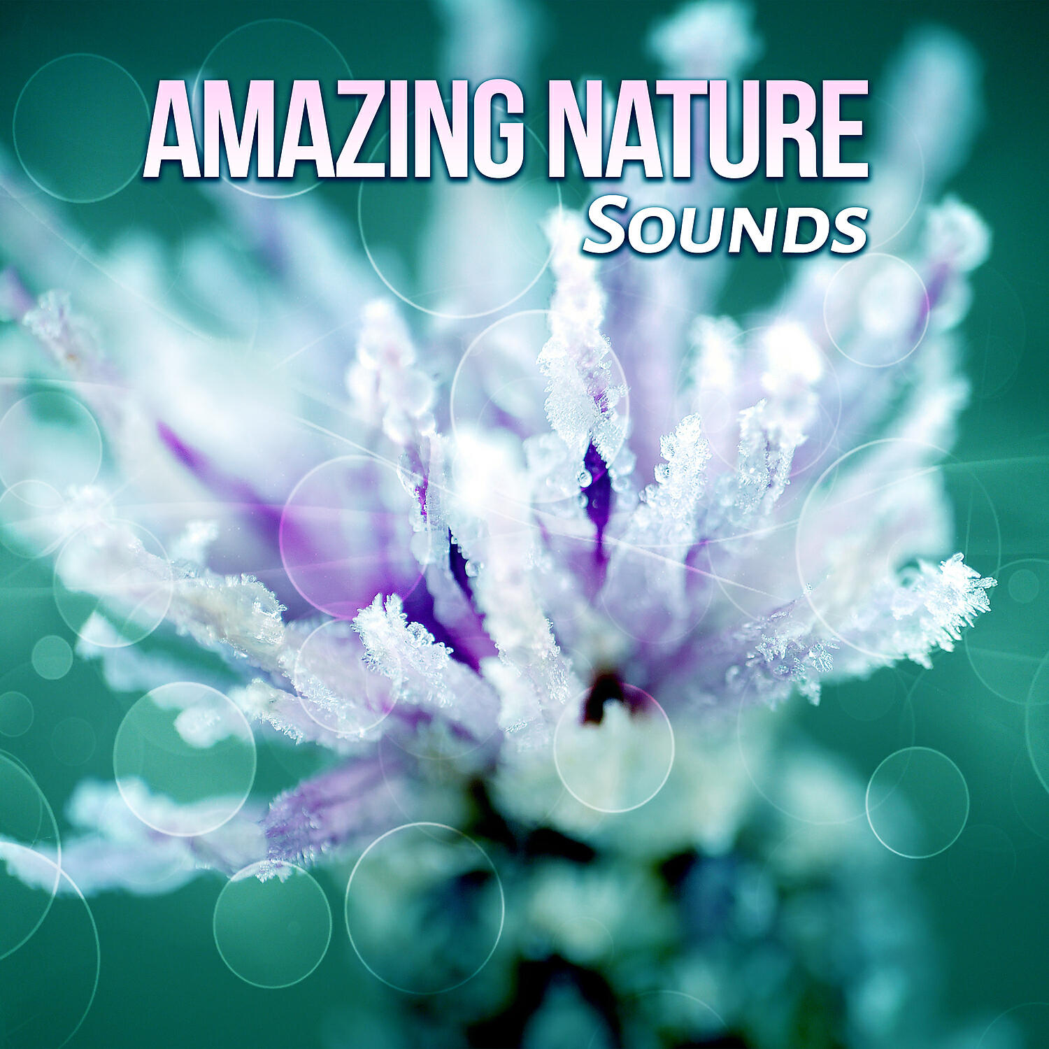New Age Instrumental Music - Yoga Relaxation