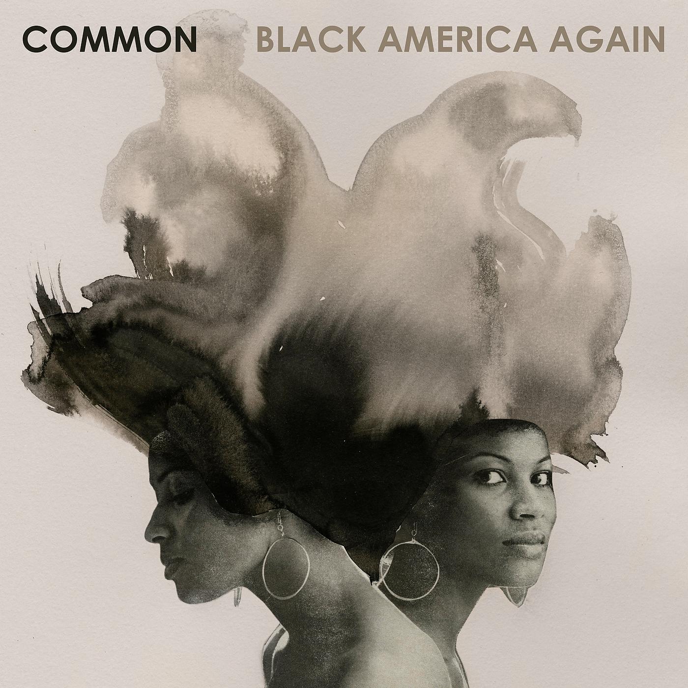 Постер альбома Black America Again