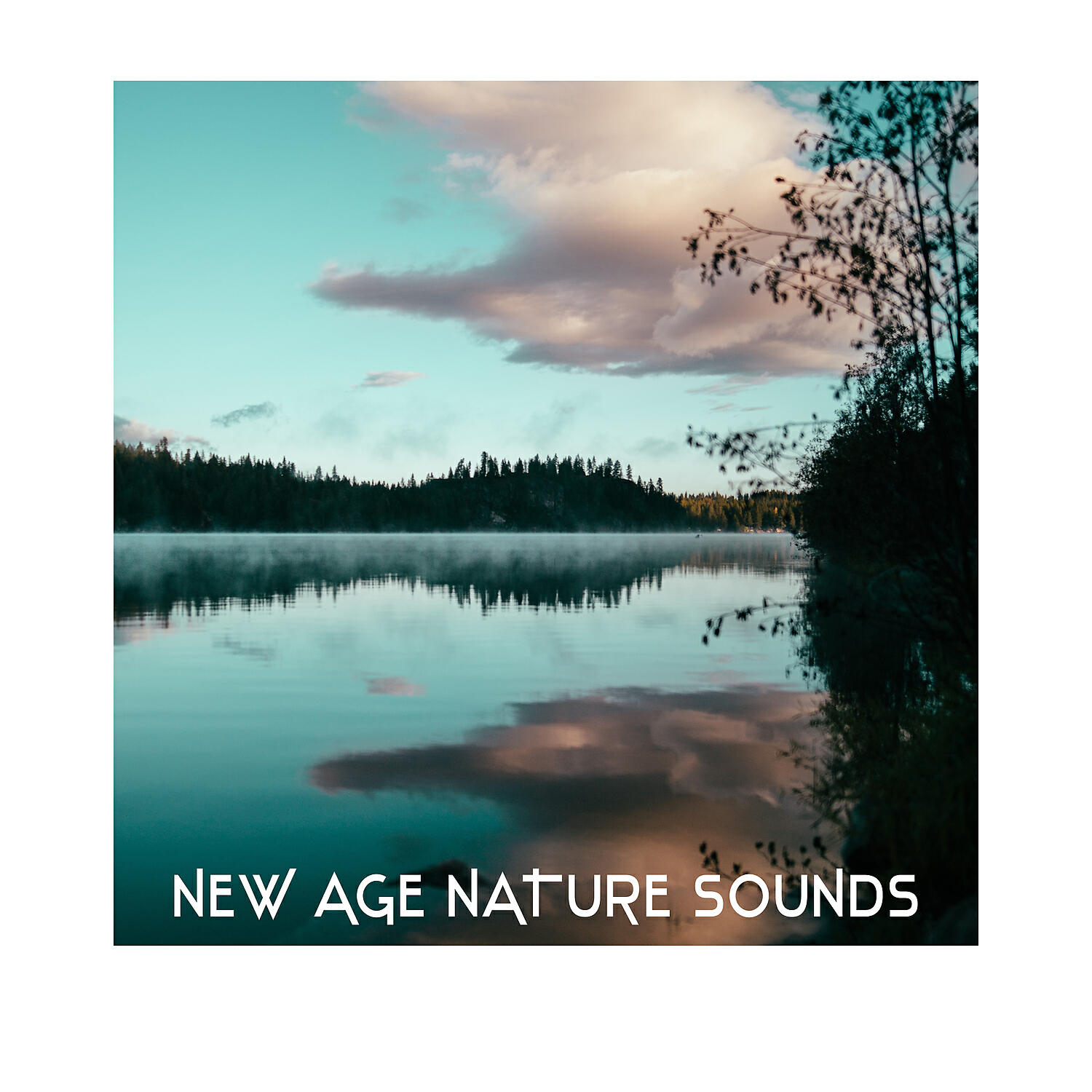 Sounds Of Nature Relaxation - Quiet Music