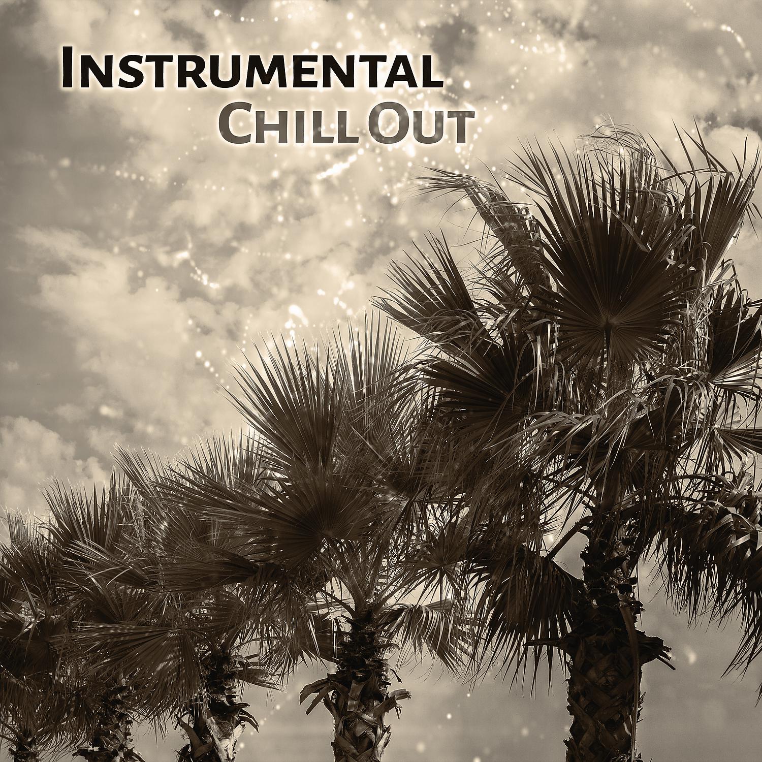 Постер альбома Instrumental Chill Out