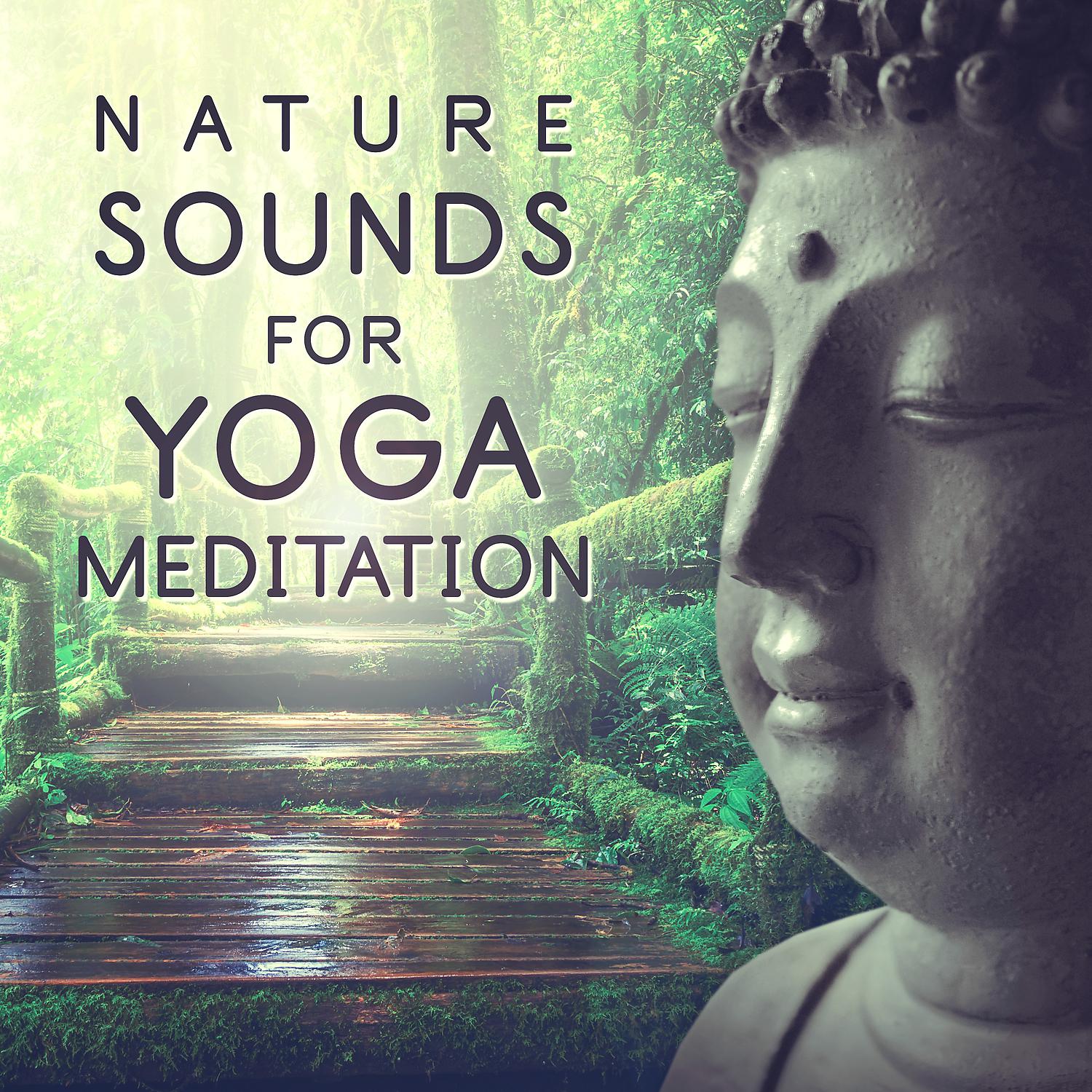Постер альбома Nature Sounds for Yoga Meditation: 30 Top Track for Yoga Class, Deep Meditation & Relaxation, Healing Natural Music