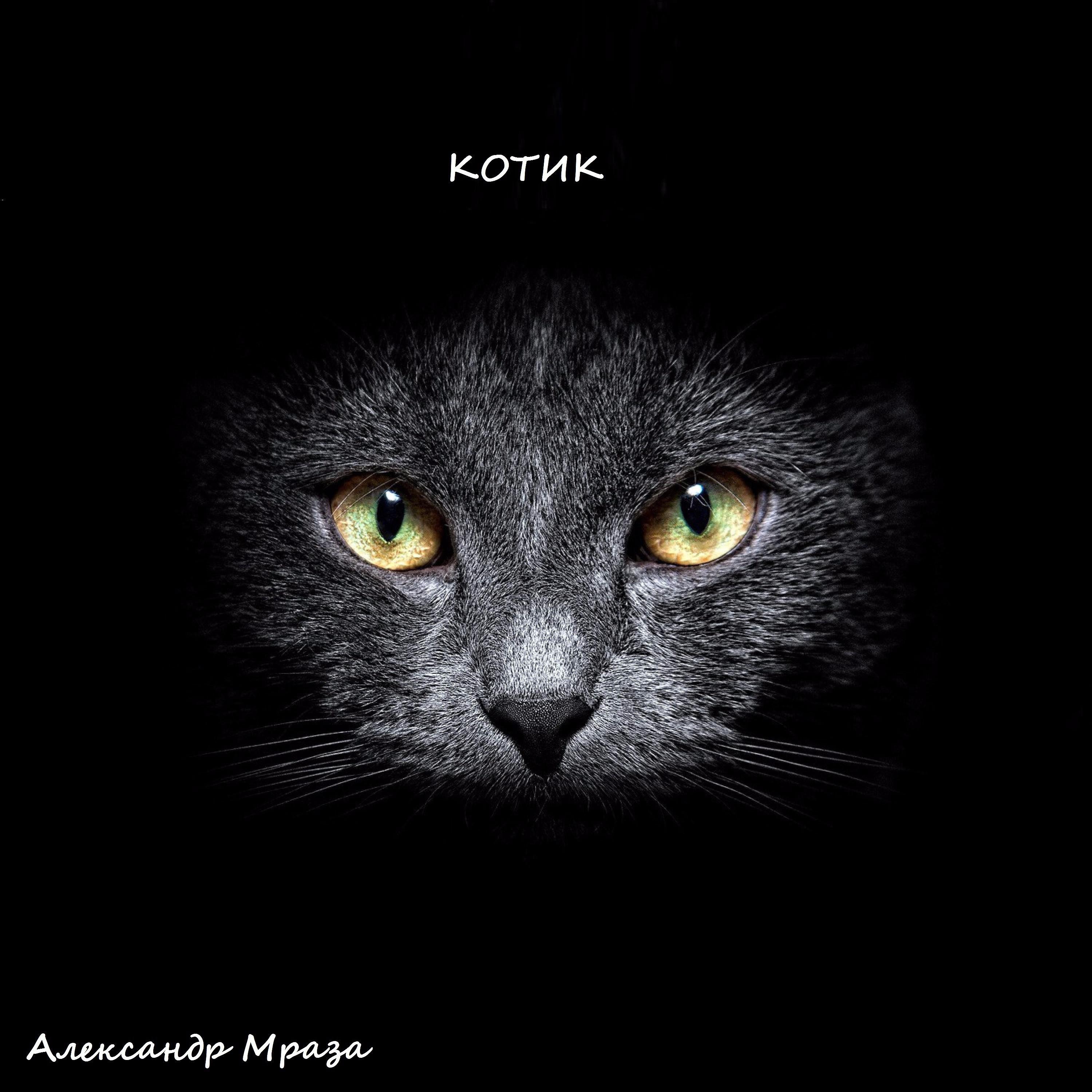 Постер альбома Котик