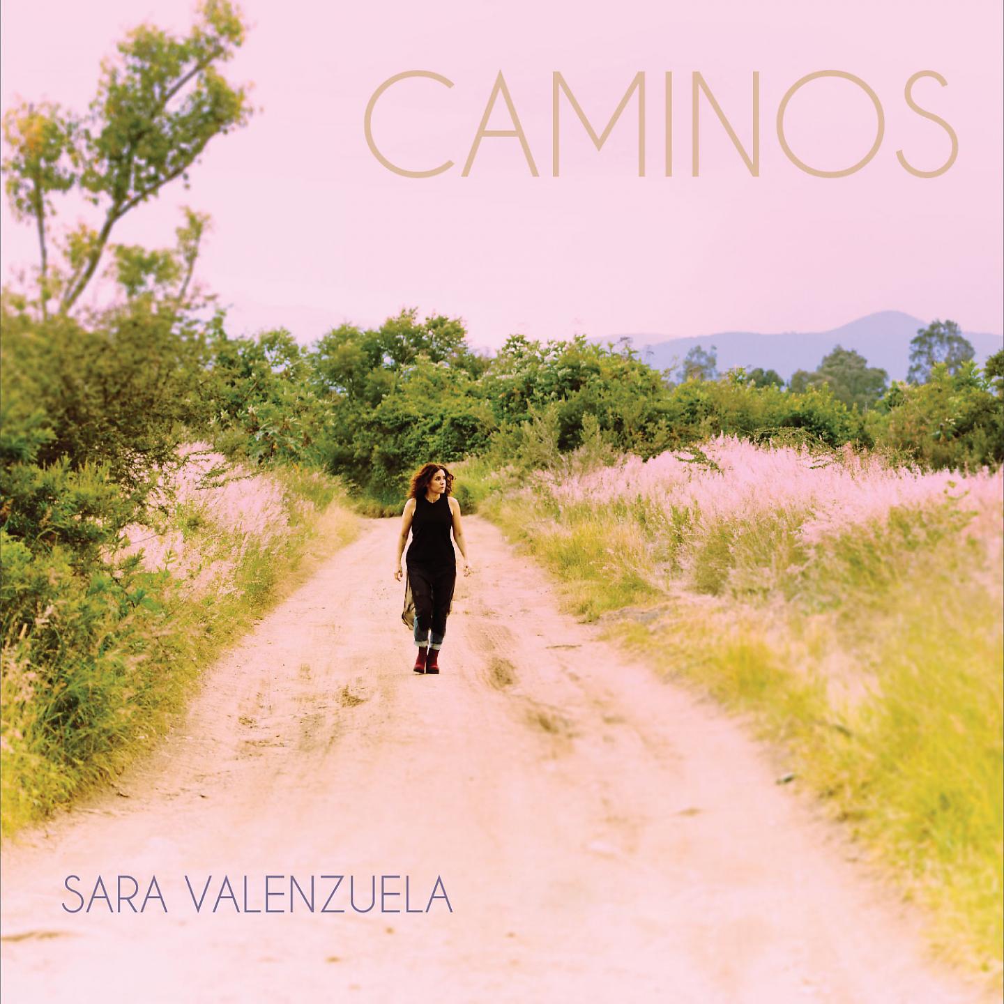 Постер альбома Caminos