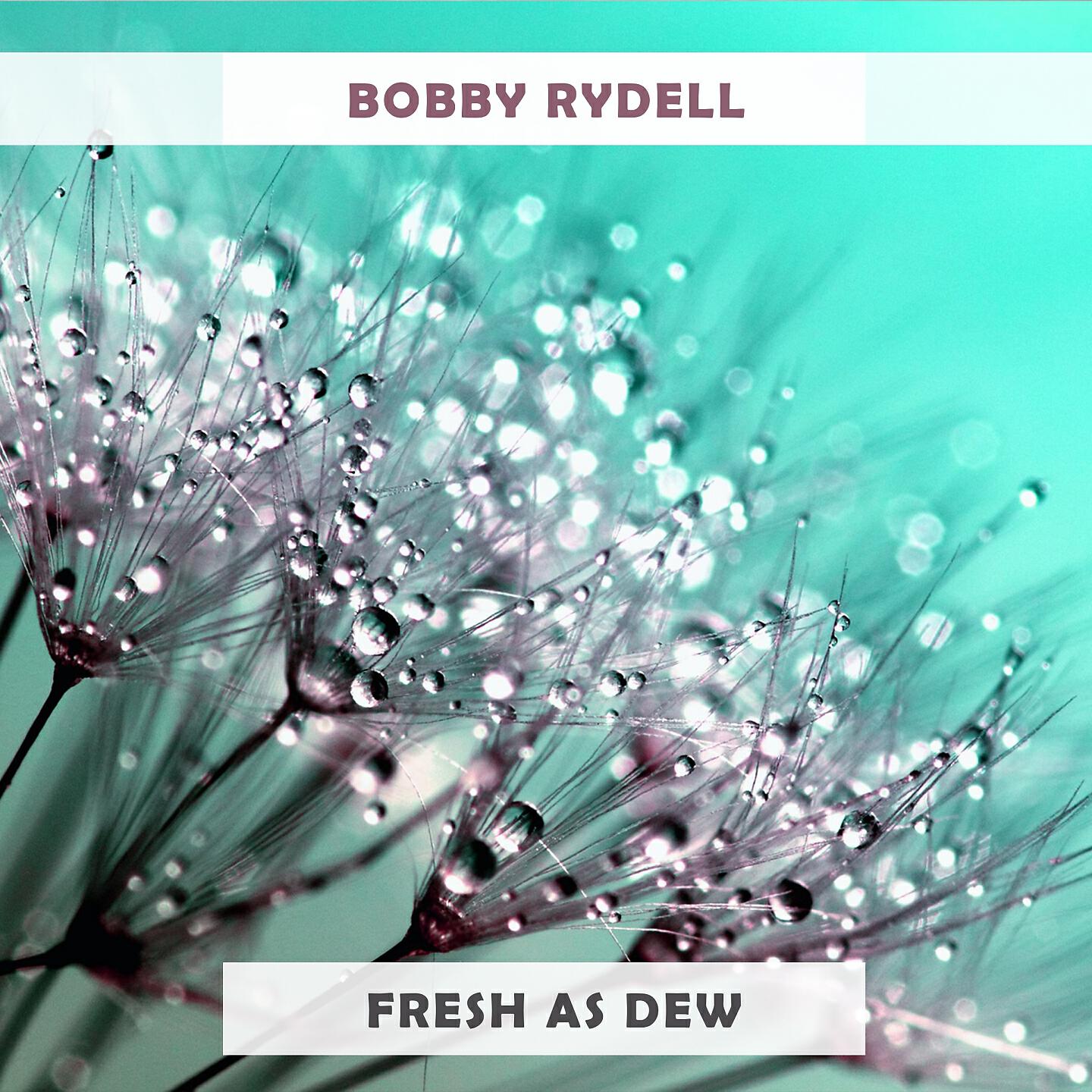 BOBBY RYDELL - Ruby Ann