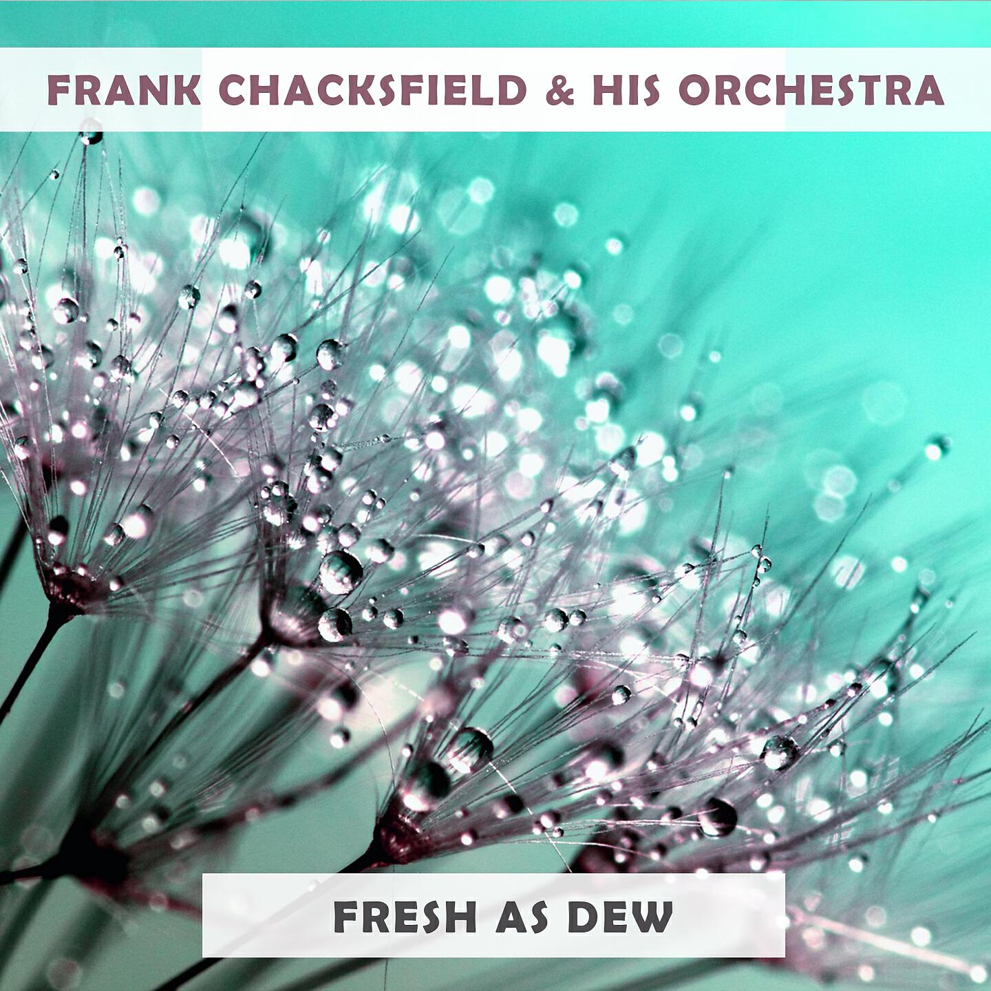 Frank Chacksfield & His Orchestra - On The Beach At Bali-Bali