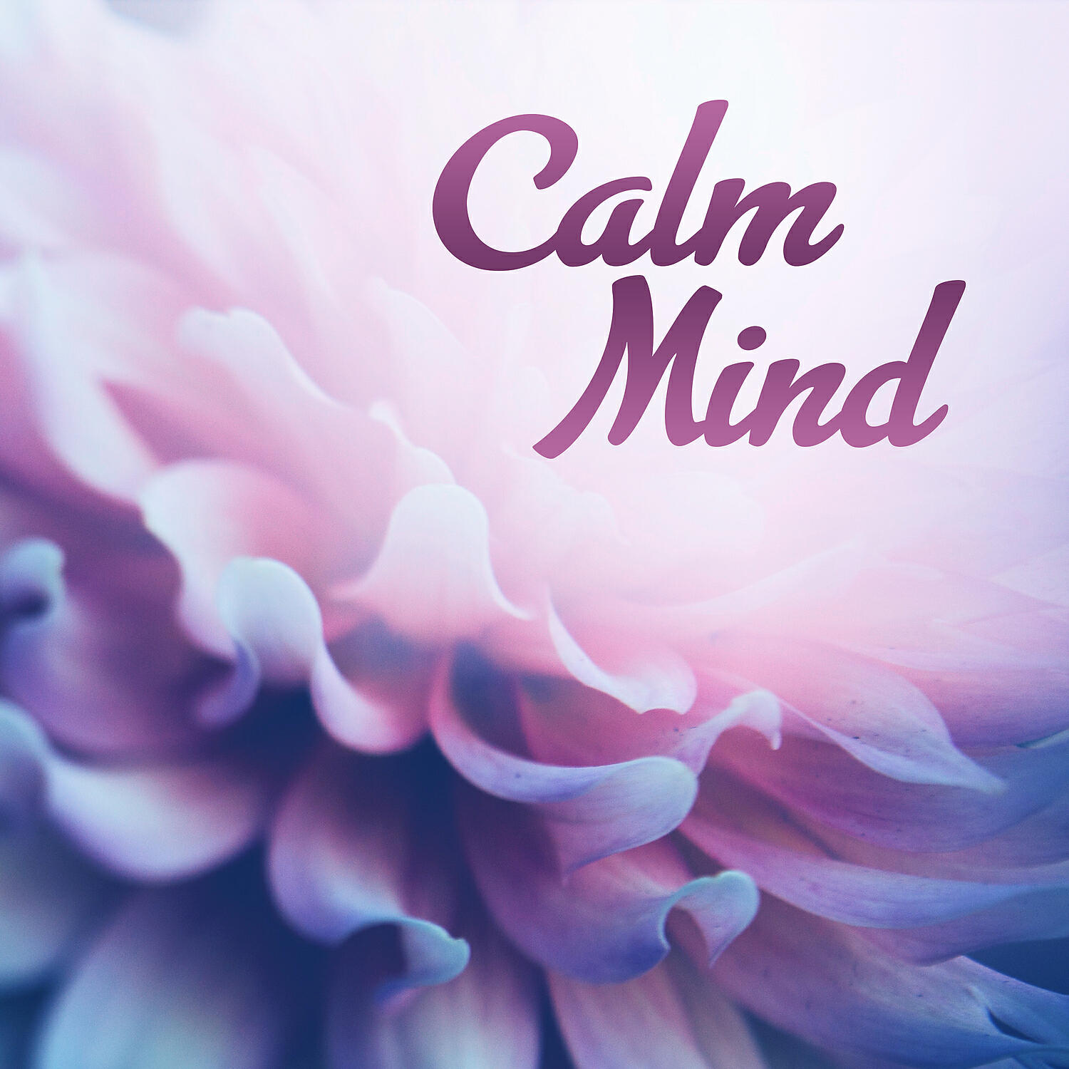 Calmness Academy - Ambient Music