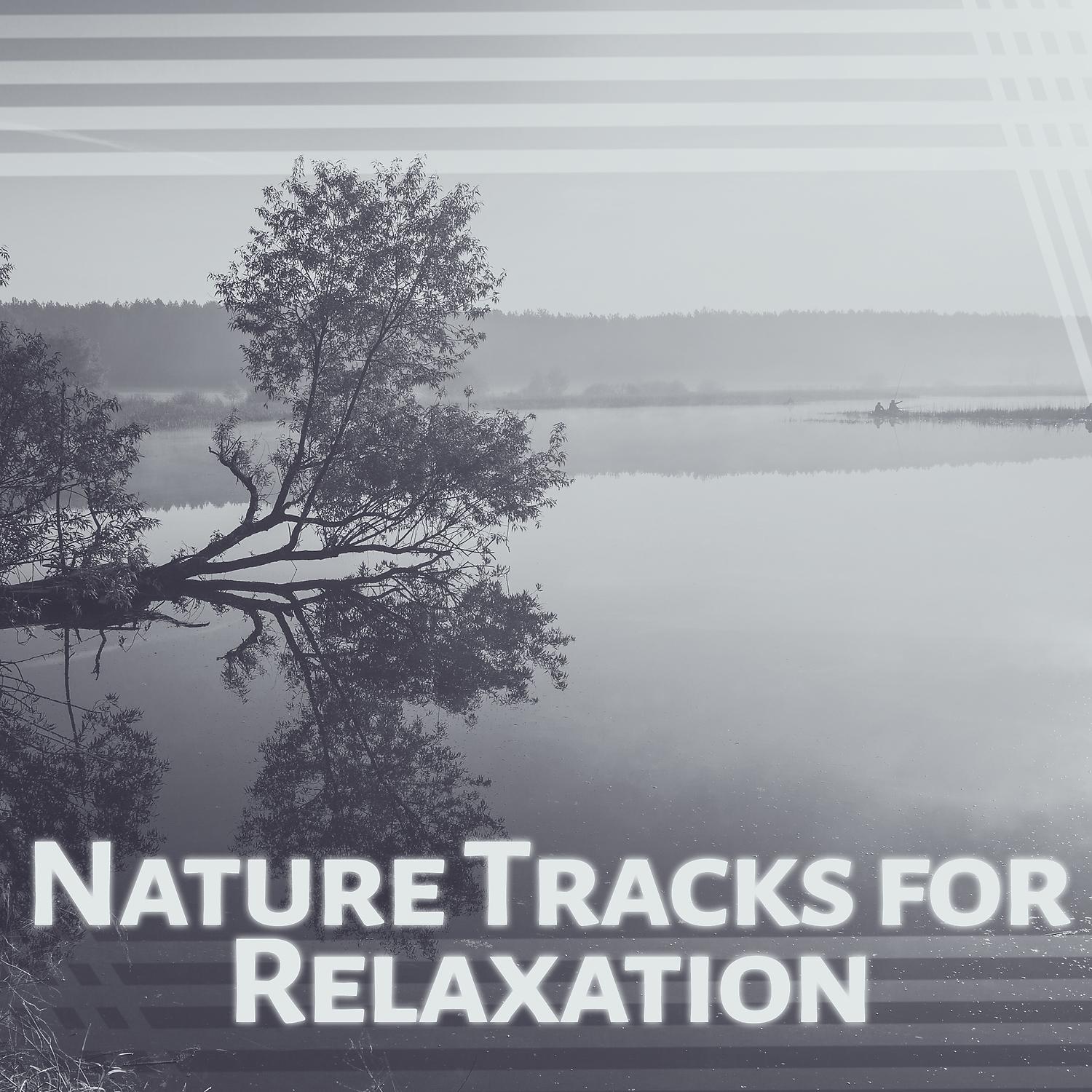 Постер альбома Nature Tracks for Relaxation