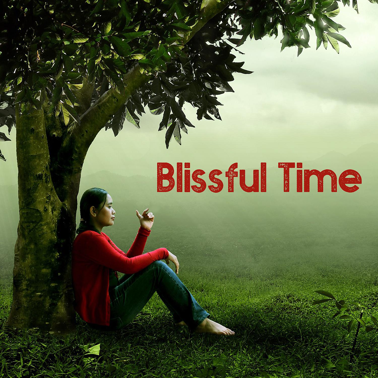 Постер альбома Blissful Time – Ambient and Soothing Sounds for Relaxation, Calm Down and Reduce Stress