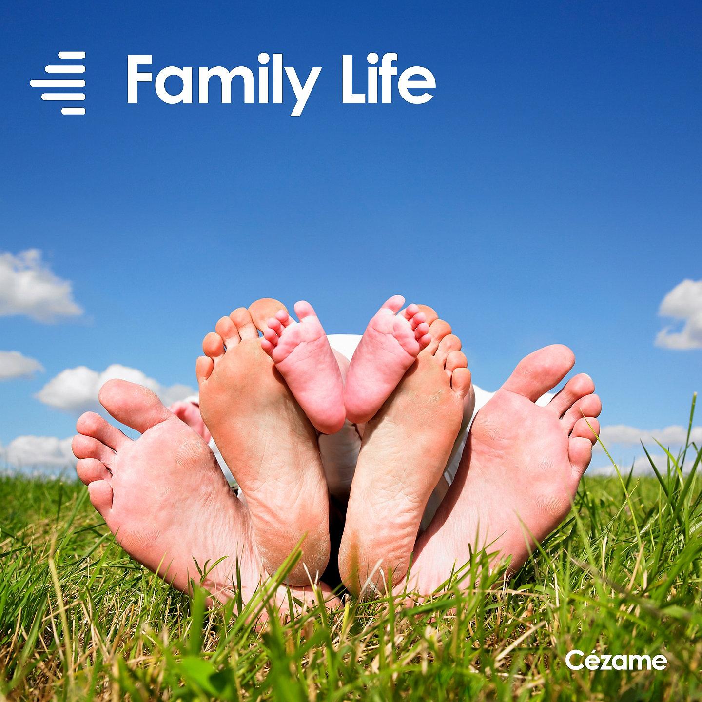 Постер альбома Family Life