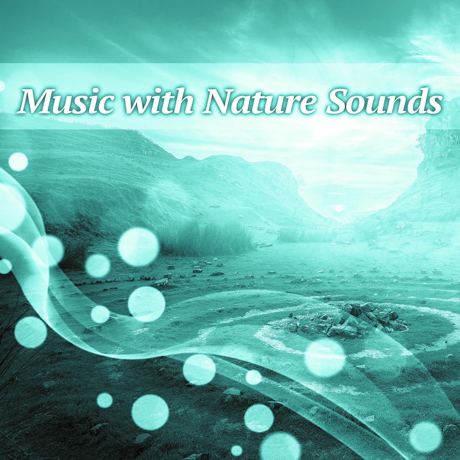 Постер альбома Music with Nature Sounds – Relaxation Collection for Meditation, Positive Music for Night, Pure Nature