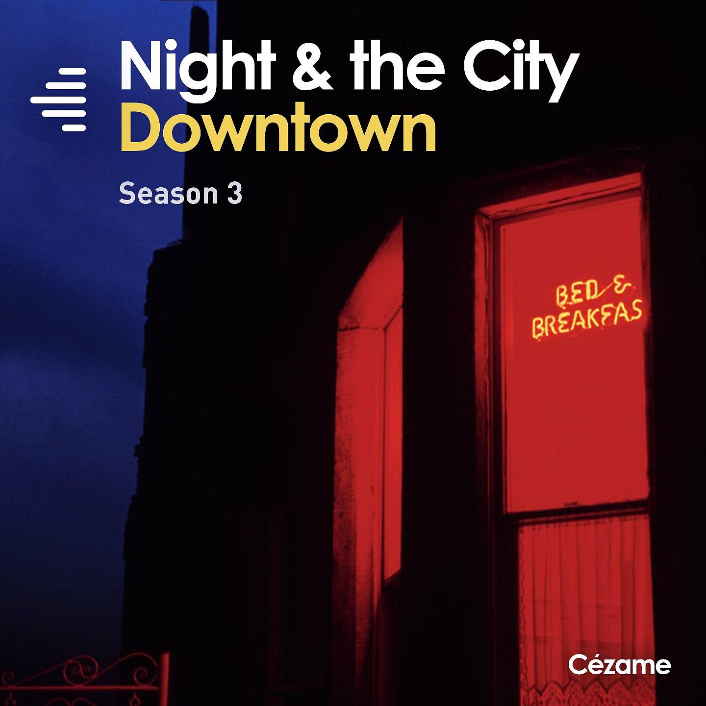 Постер альбома Night & the City: Downtown