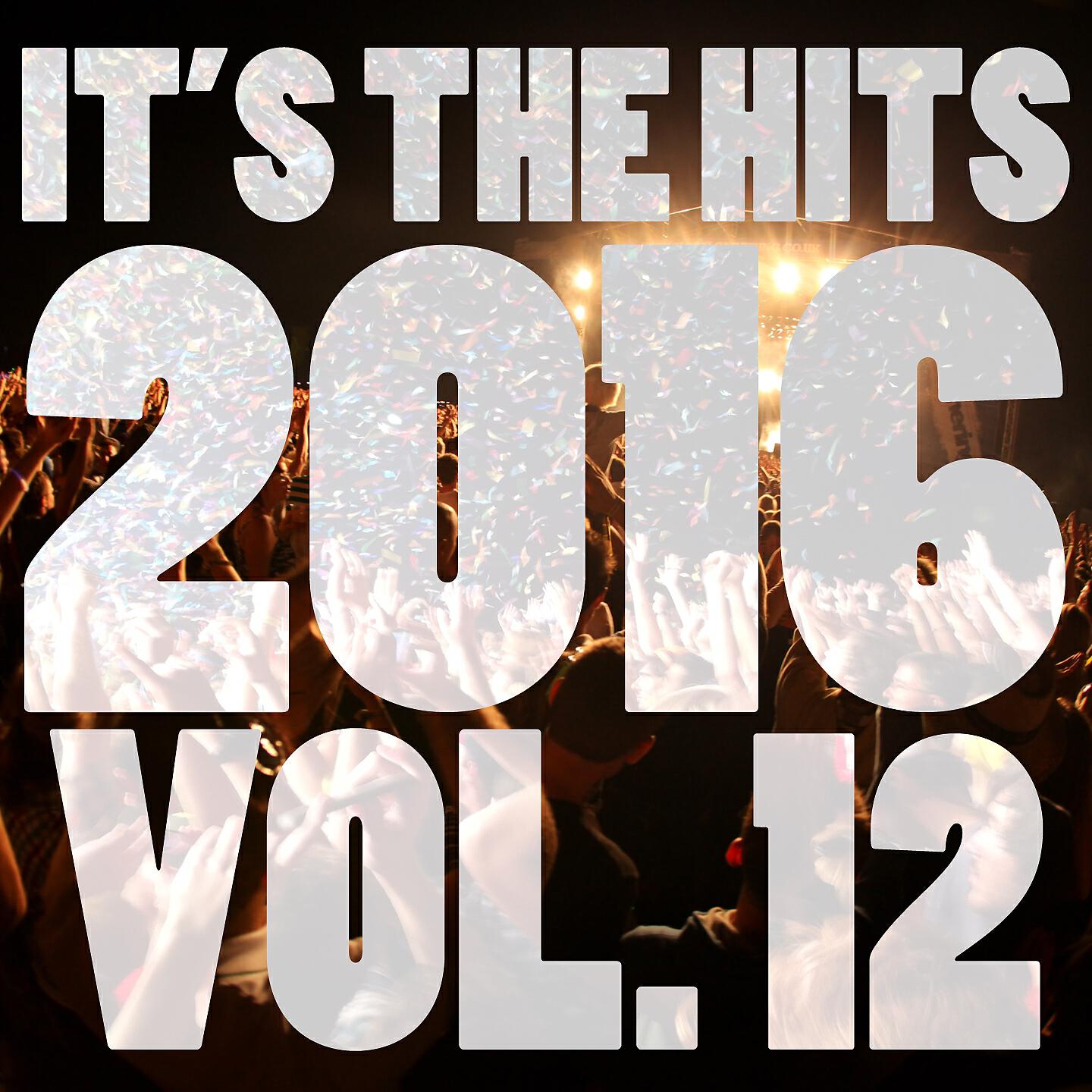 Постер альбома It's The Hits 2016! Vol. 12