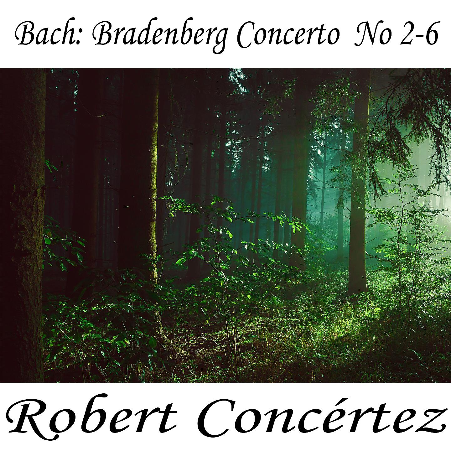 Johann Sebastian Bach - Brandenburg Concerto No- 6 in B-Flat Major, BWV 1051 I- Allegro