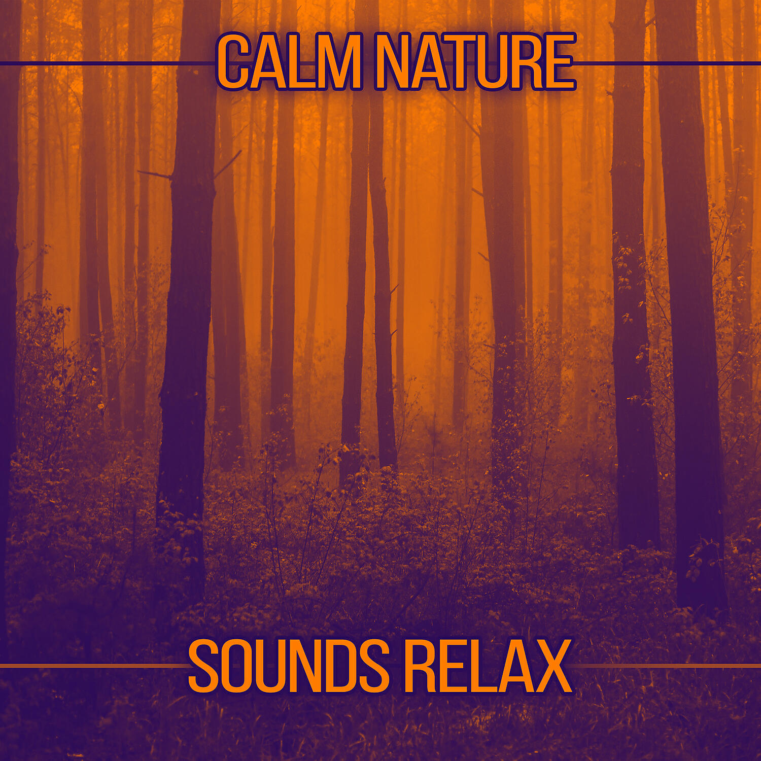 Nature Sound Collection - Bird Songs