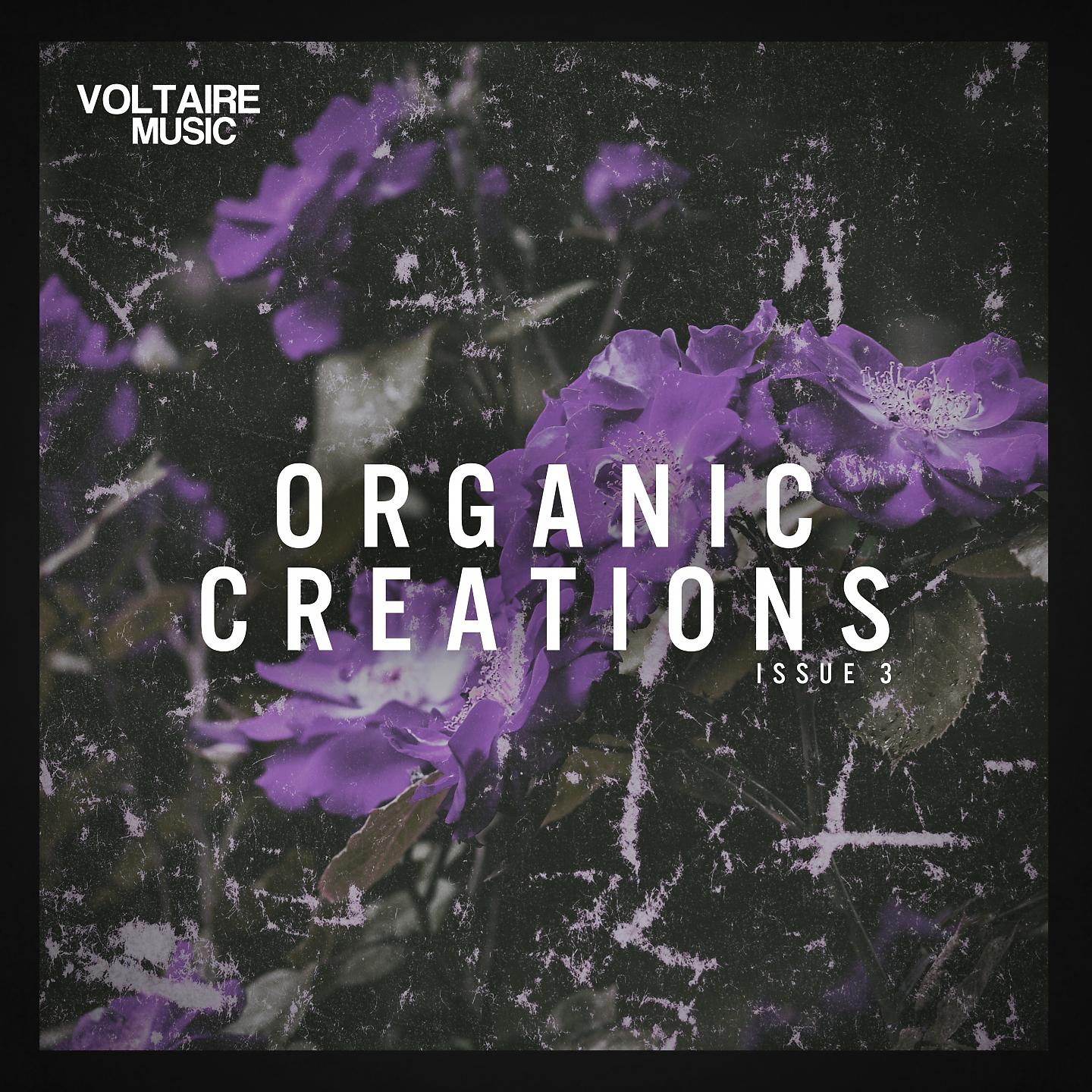 Постер альбома Organic Creations Issue 3