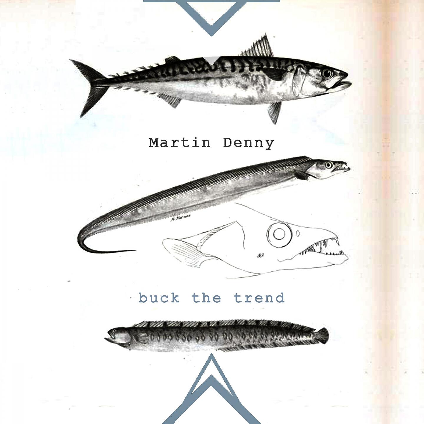 Martin Denny - Akaka Falls